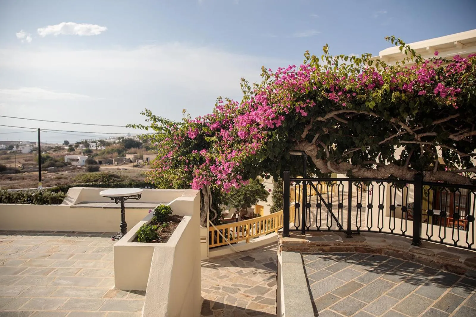 Garden in Proteas Hotel & Suites