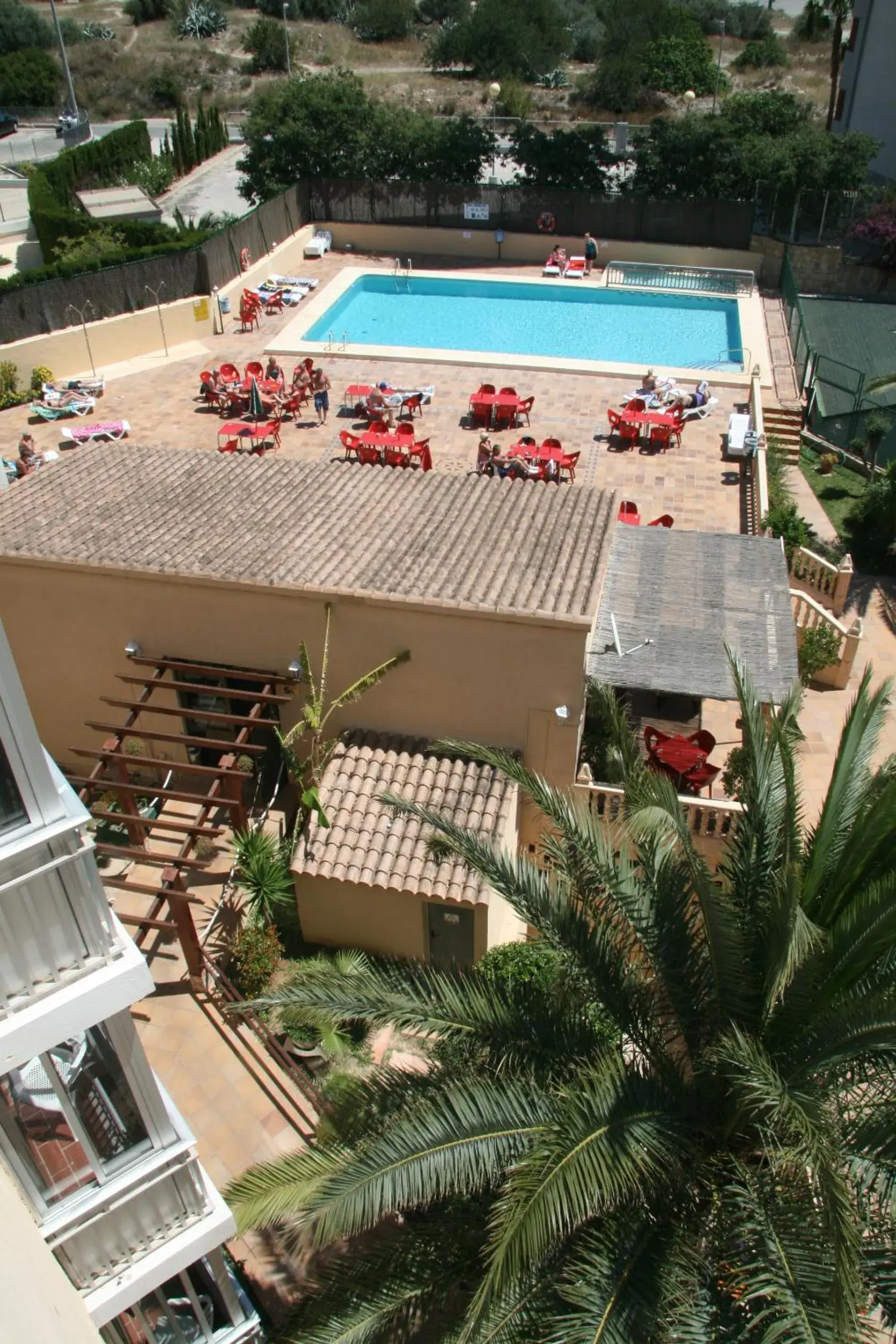 View (from property/room) in Apartamentos Palm Court View (from property/room) in Apartamentos Palm Court