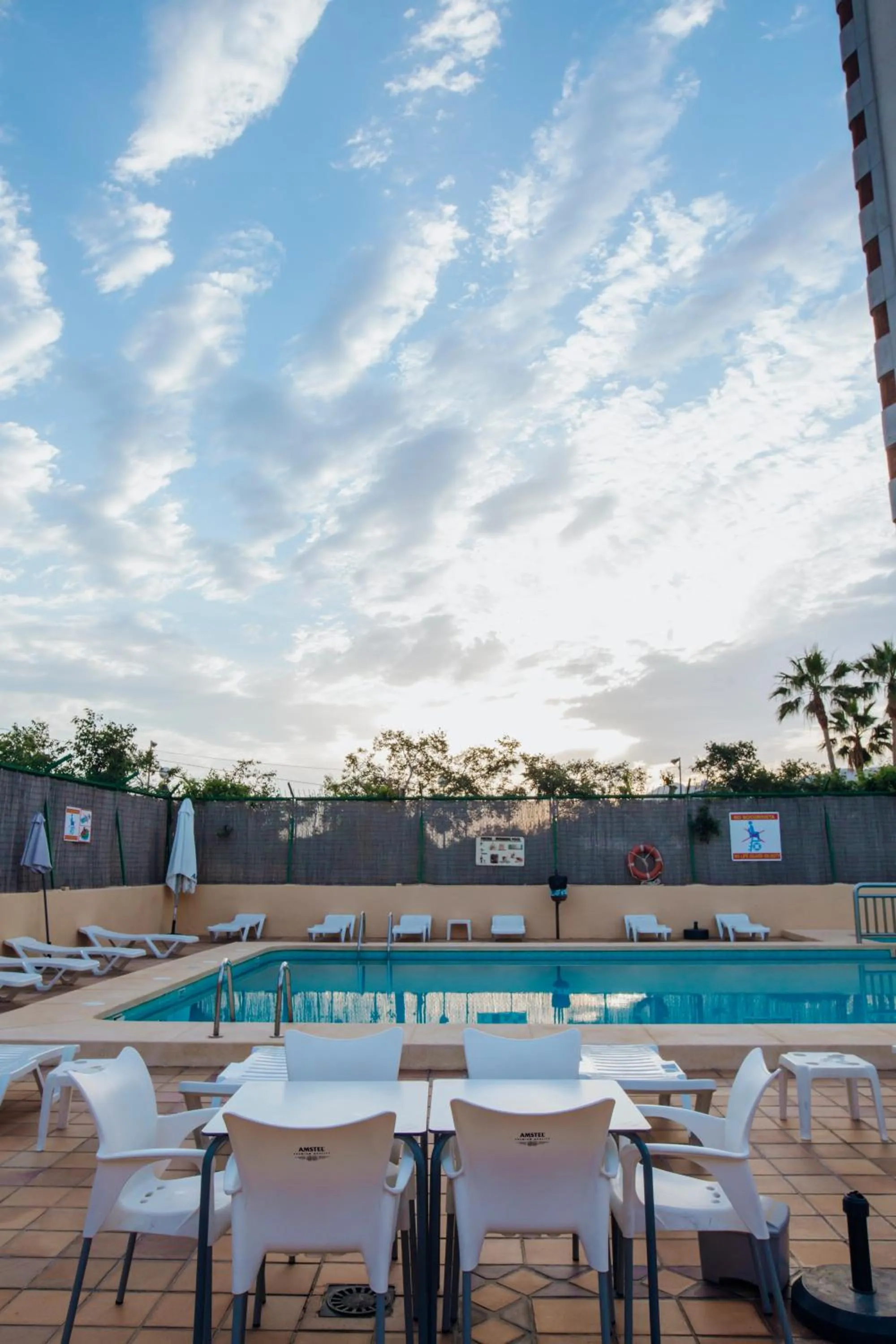 Swimming pool in Apartamentos Palm Court
