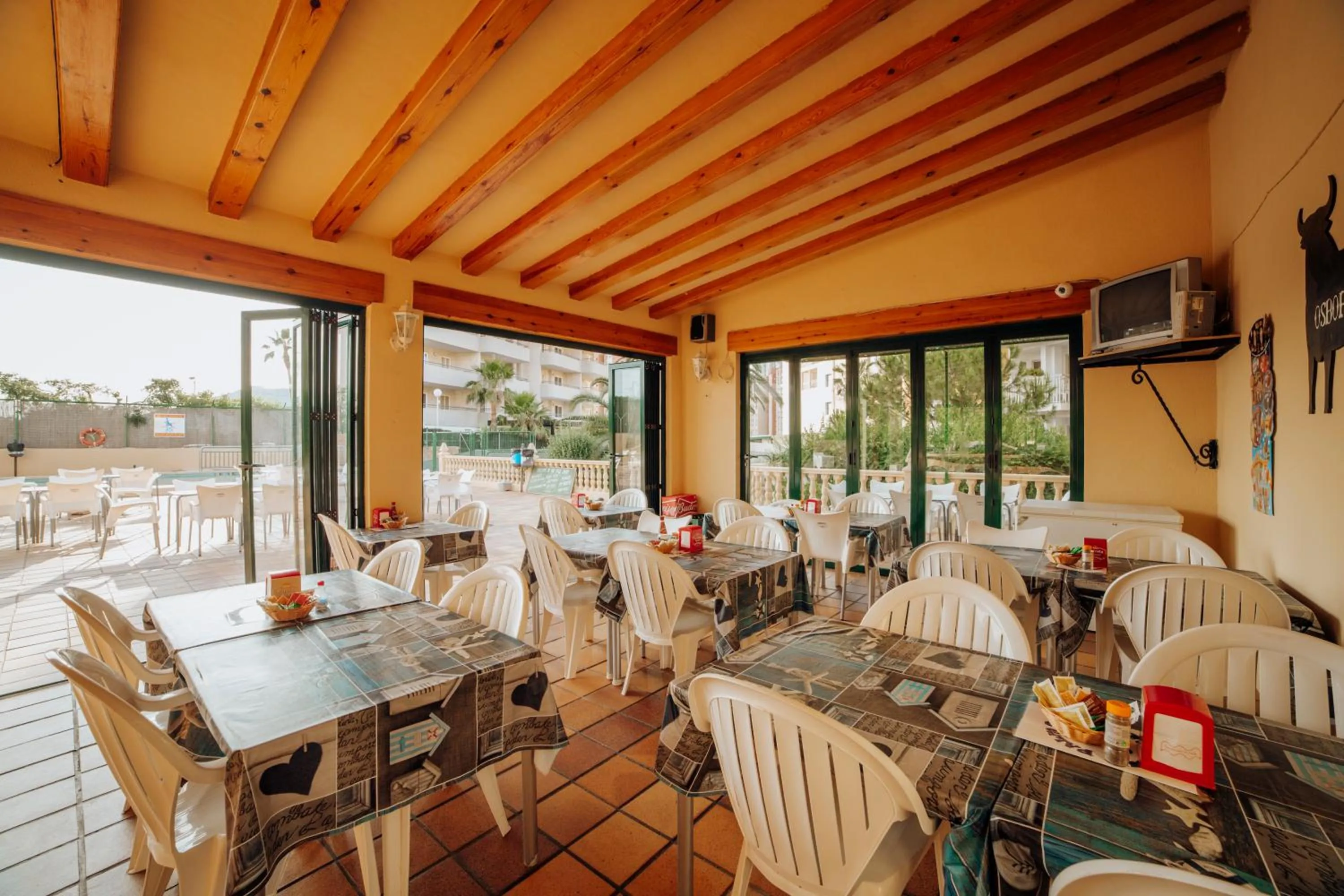 Restaurant/places to eat in Apartamentos Palm Court