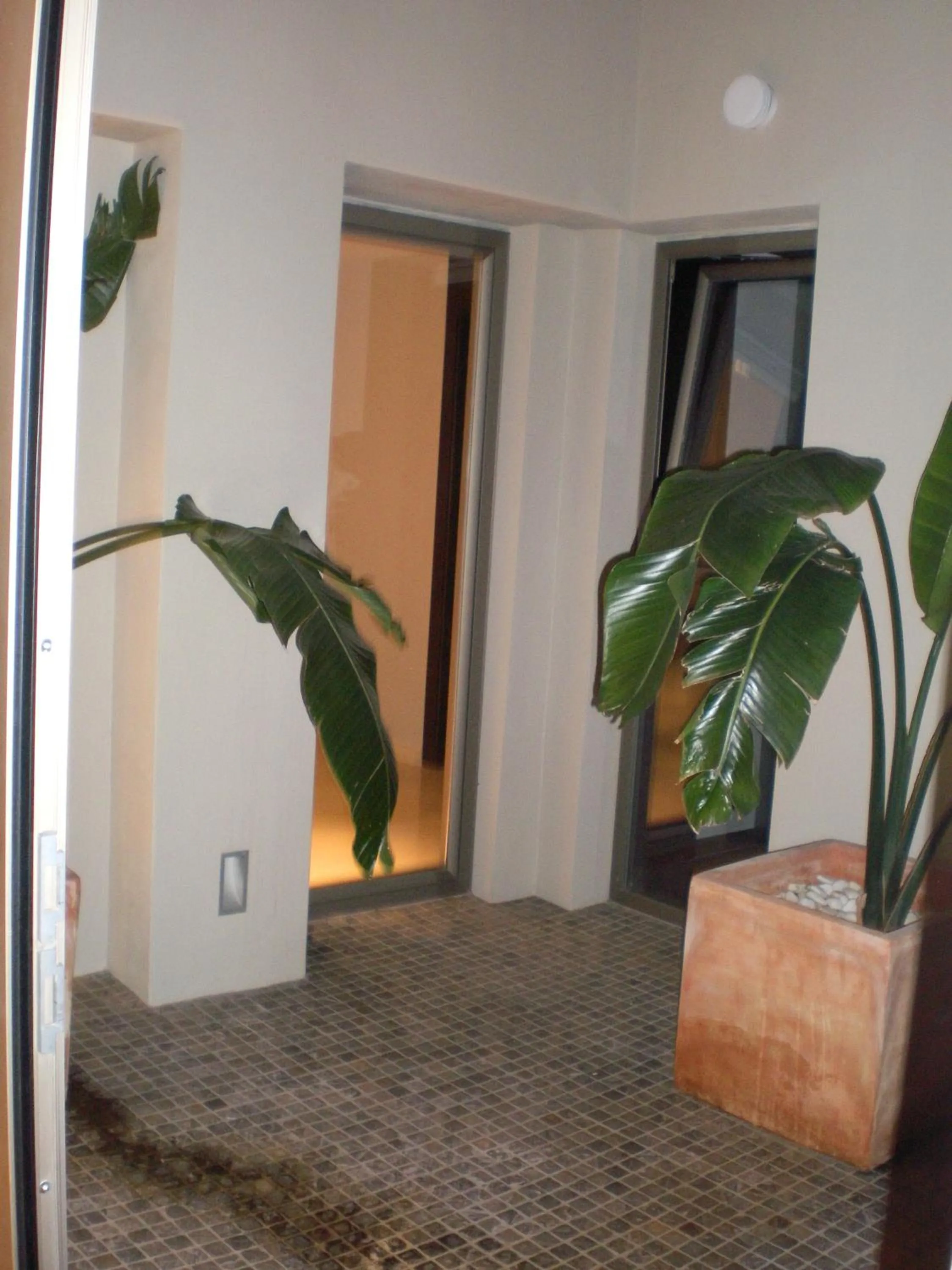 Area and facilities in El Globo