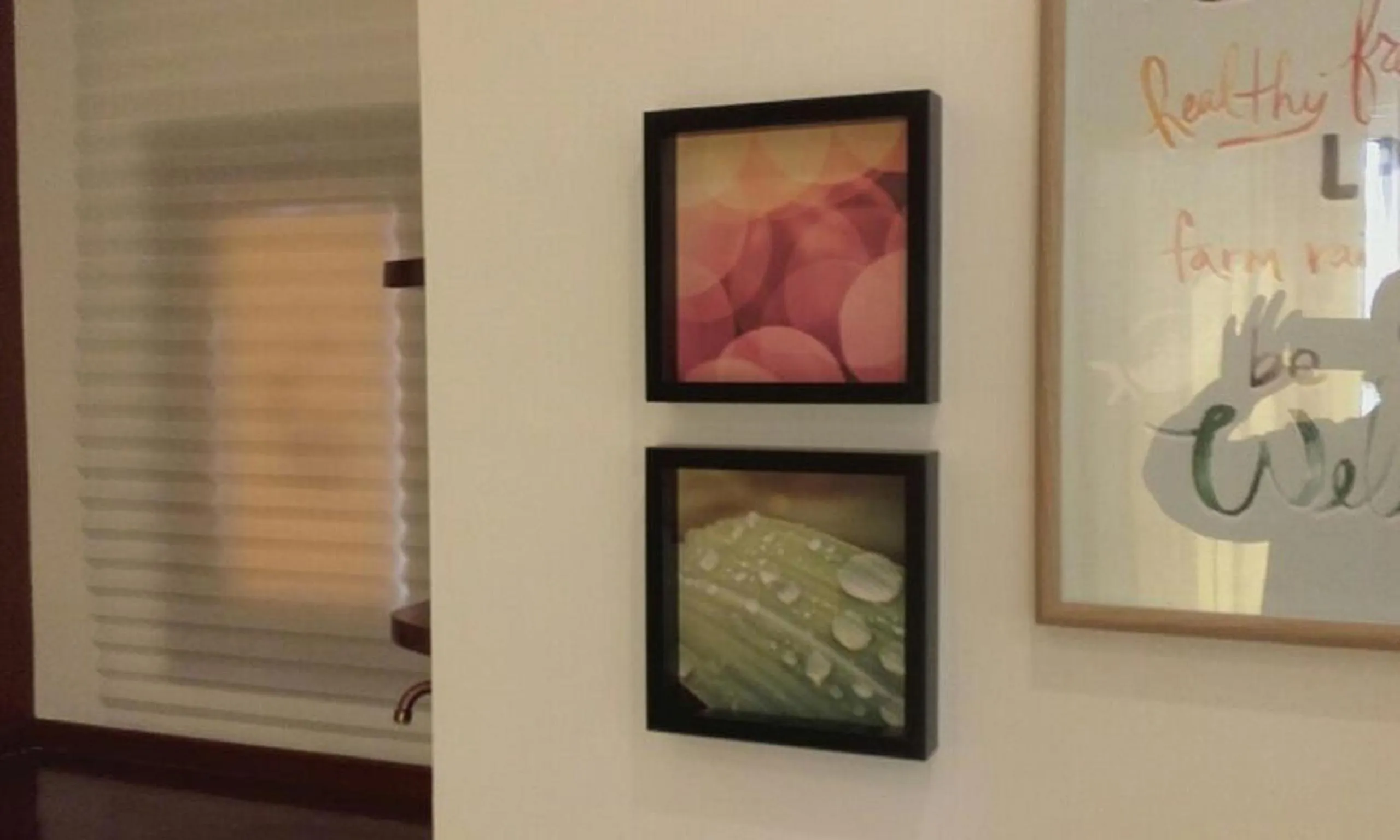 Photo of the whole room in El Globo