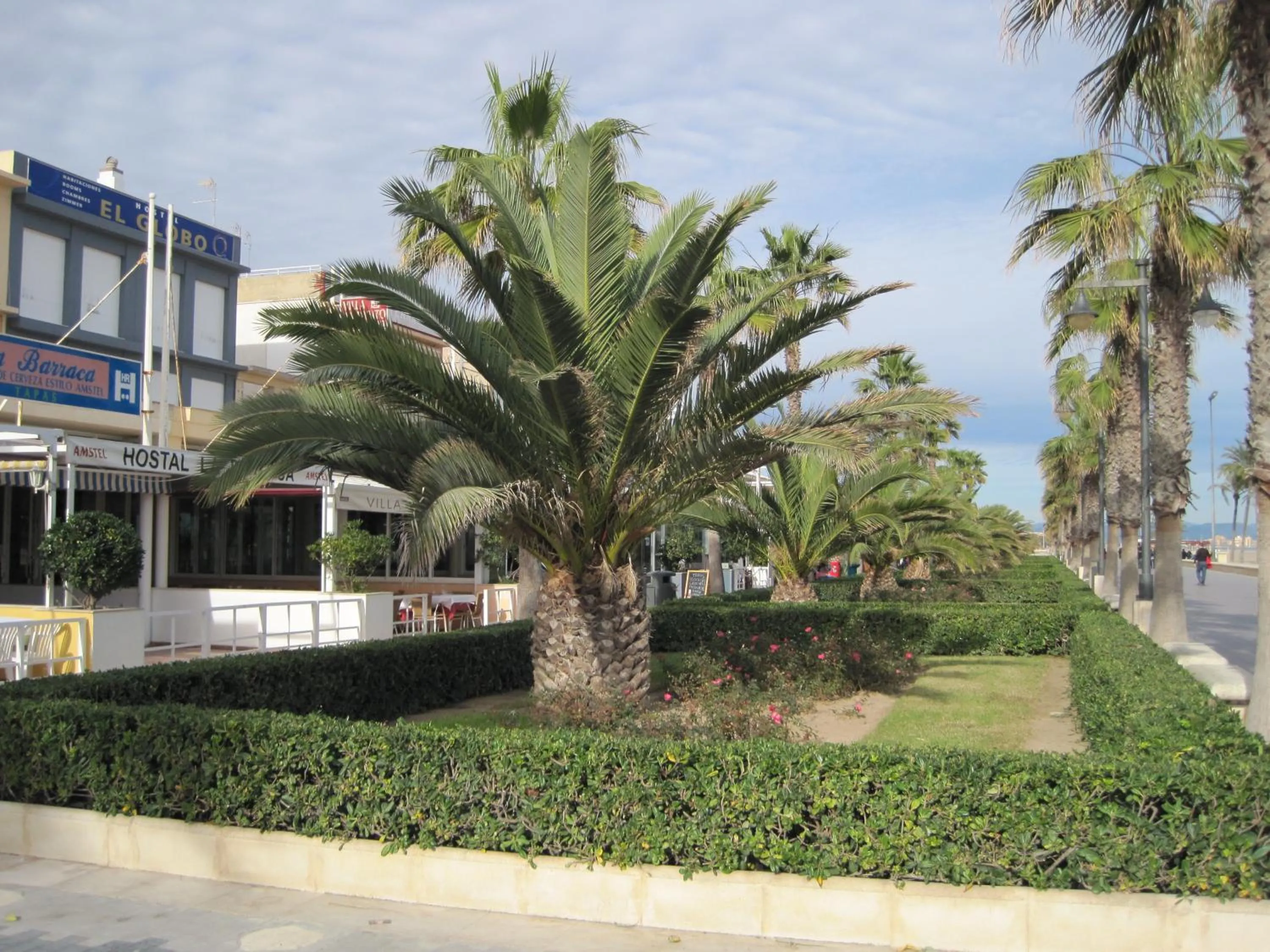 Property building in El Globo