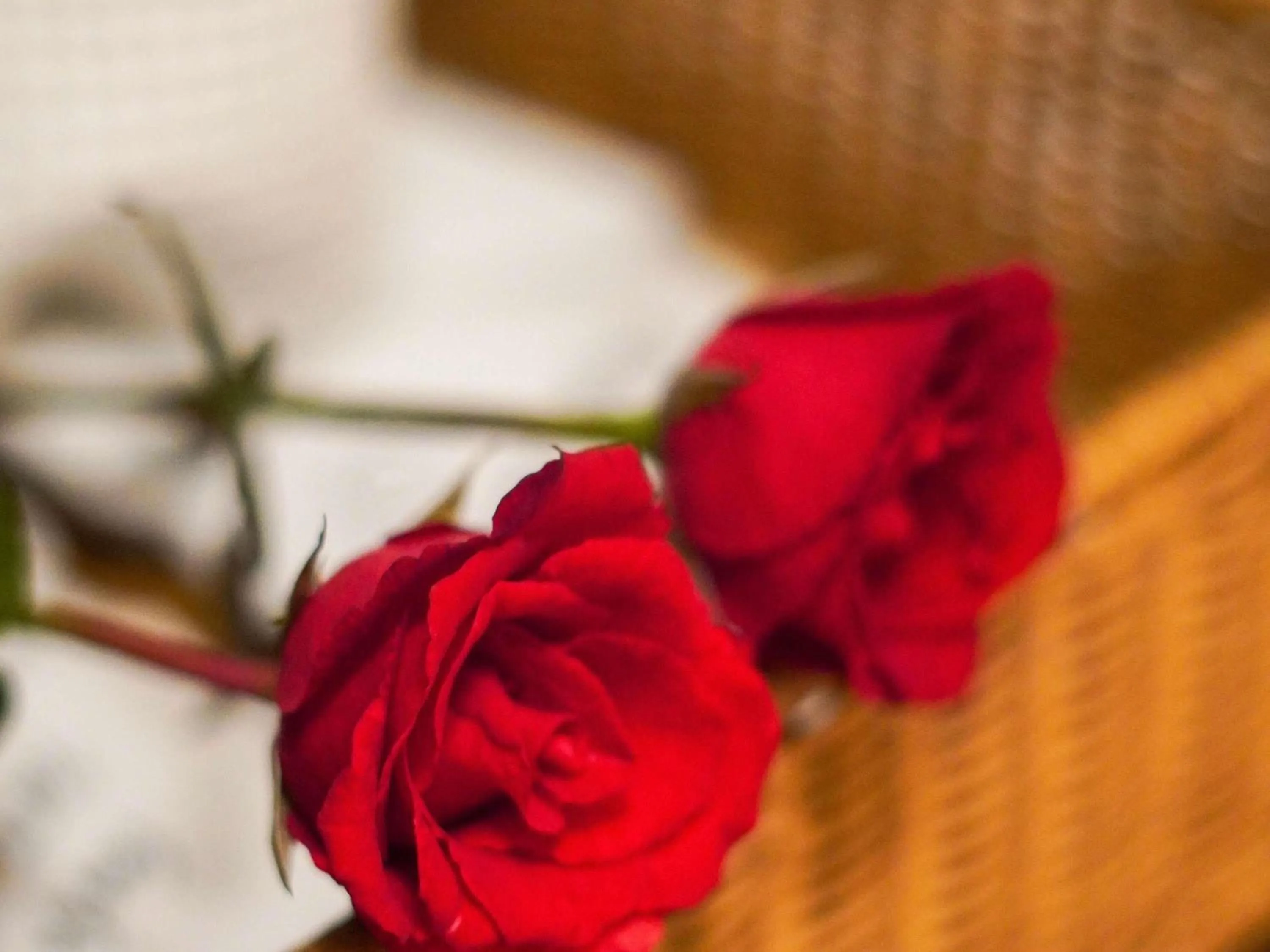 Other in Hotel Majapahit Surabaya MGallery