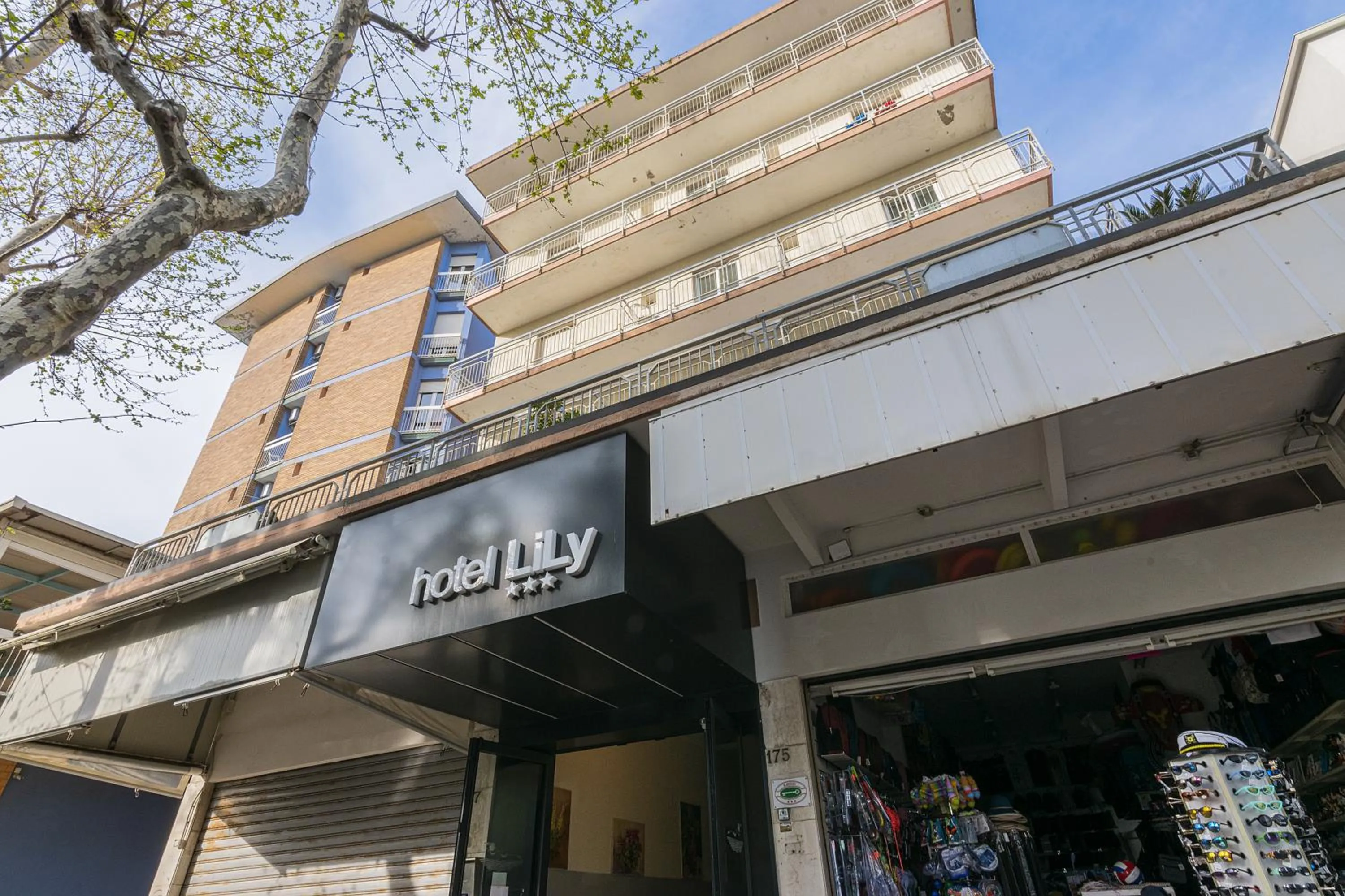 Property building in Hotel Lily