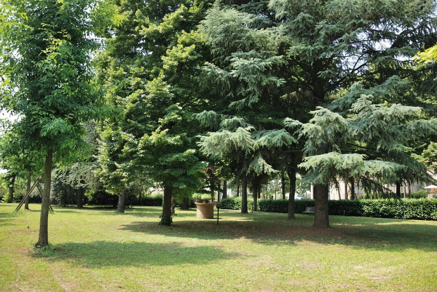 Garden in Hotel Olimpic
