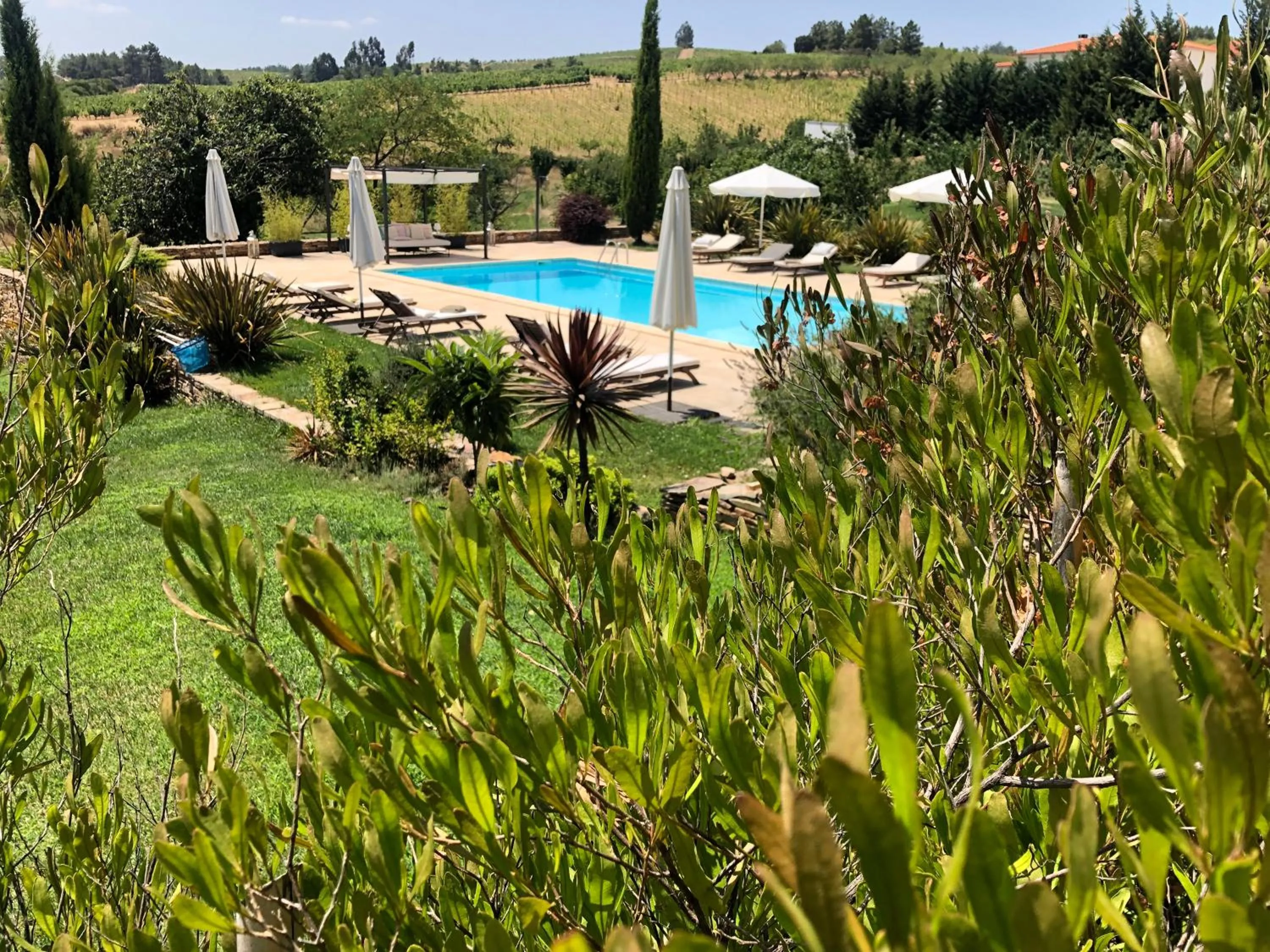 Quinta Da Pereira E Enricas Agro-Turismo