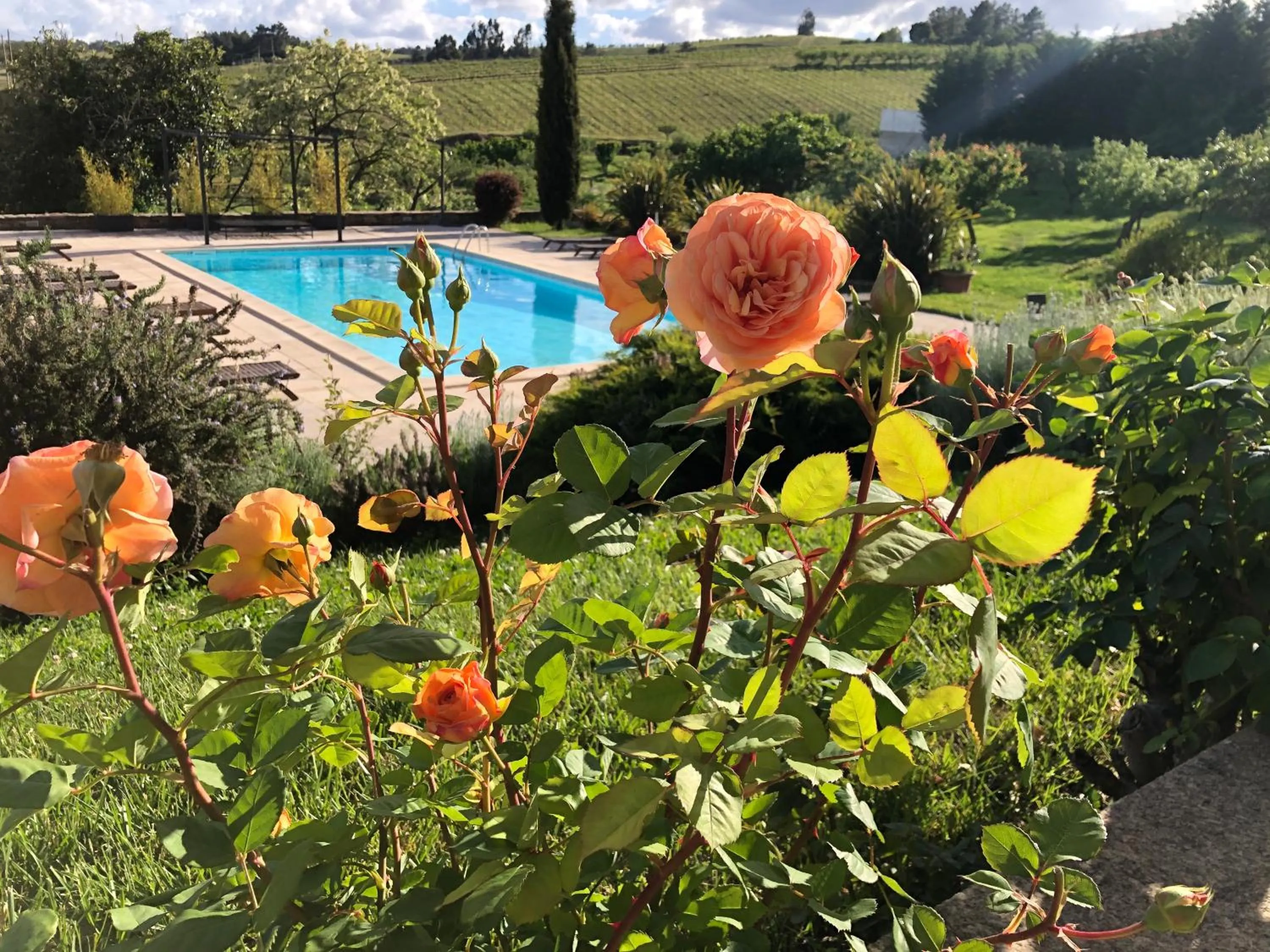 Patio in Quinta Da Pereira E Enricas Agro-Turismo