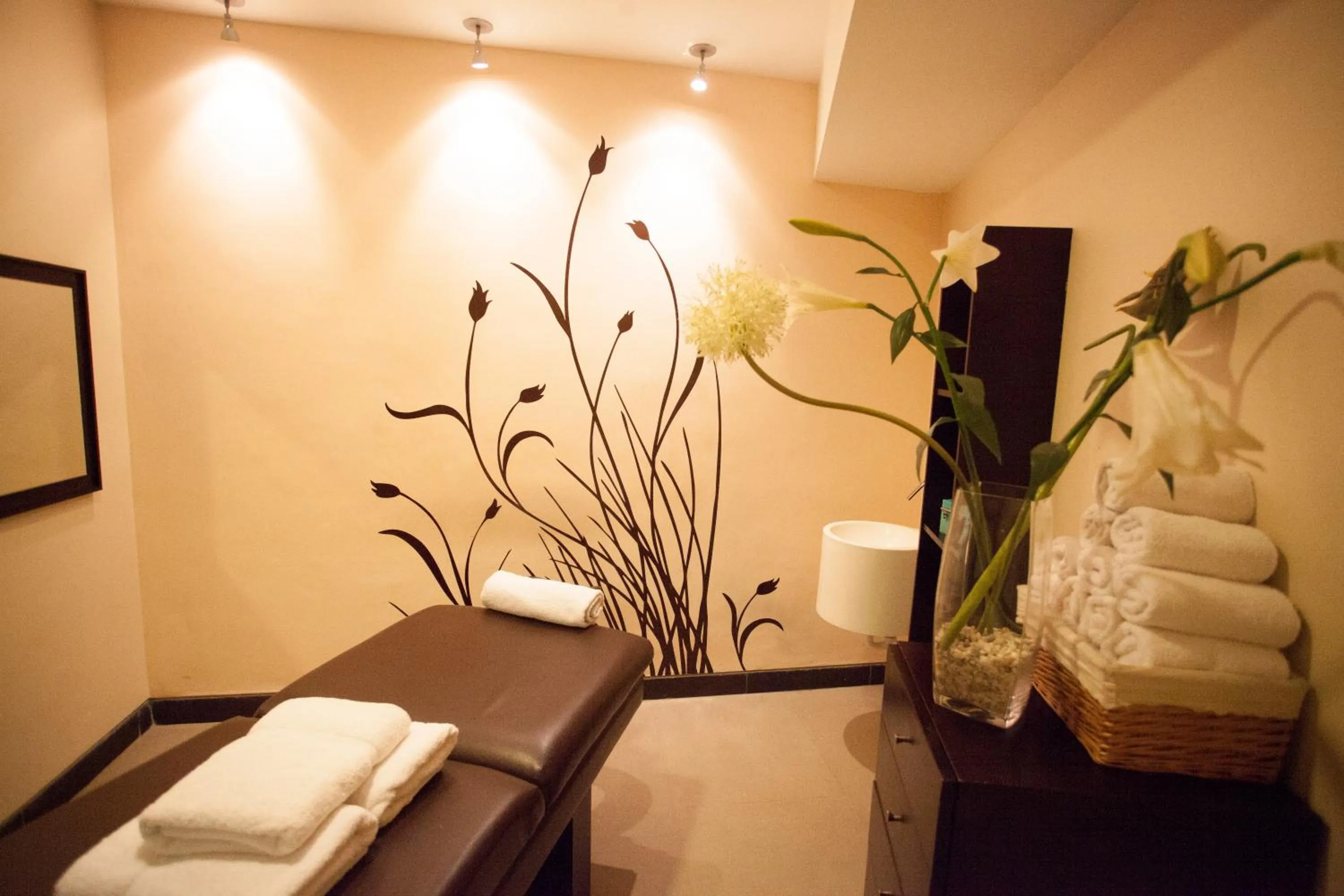 Spa and wellness centre/facilities in Lidotel Caracas