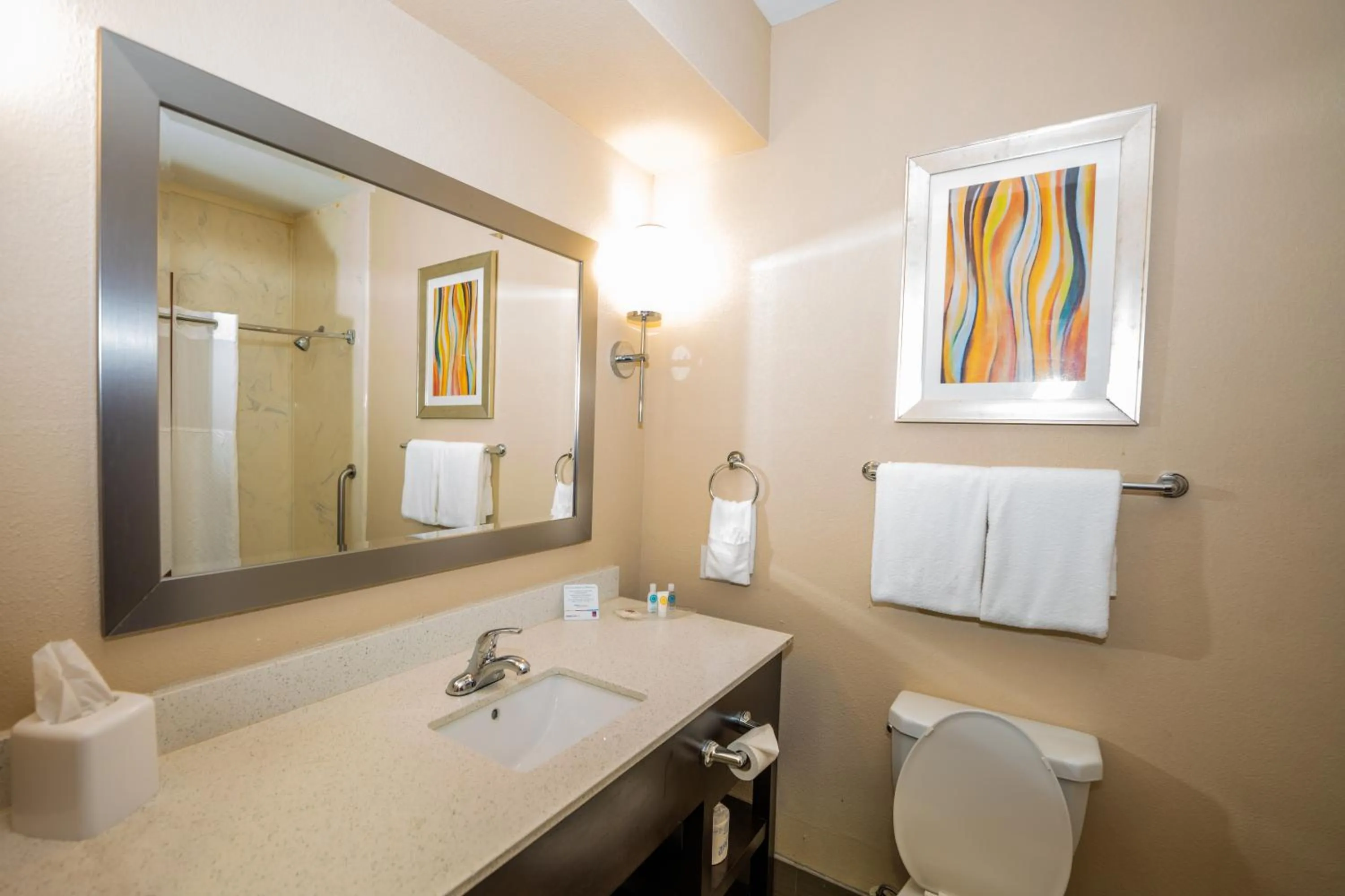 Bathroom in Comfort Suites Houston West at Clay Road