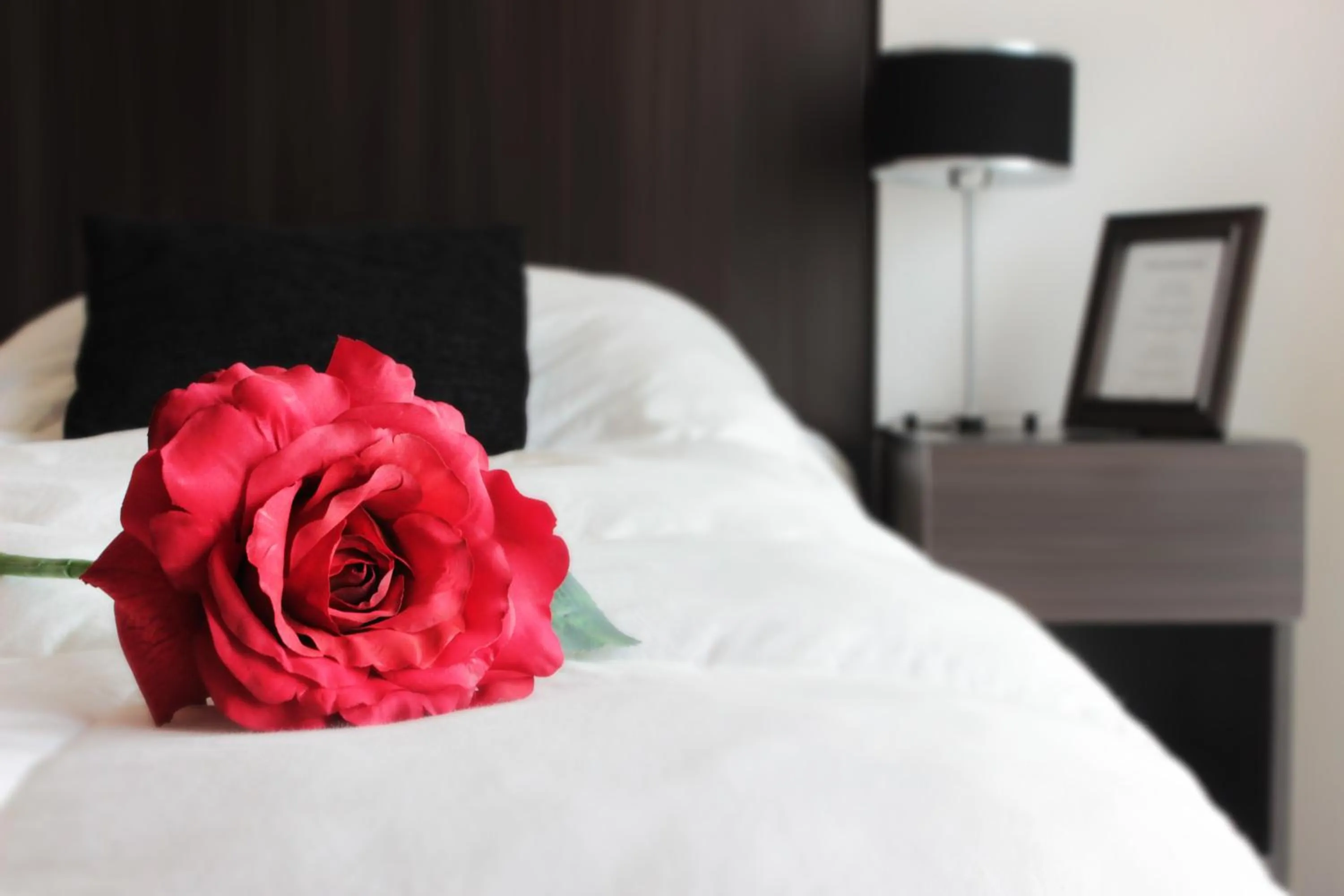 Bed in Hotel Boutique Devoto