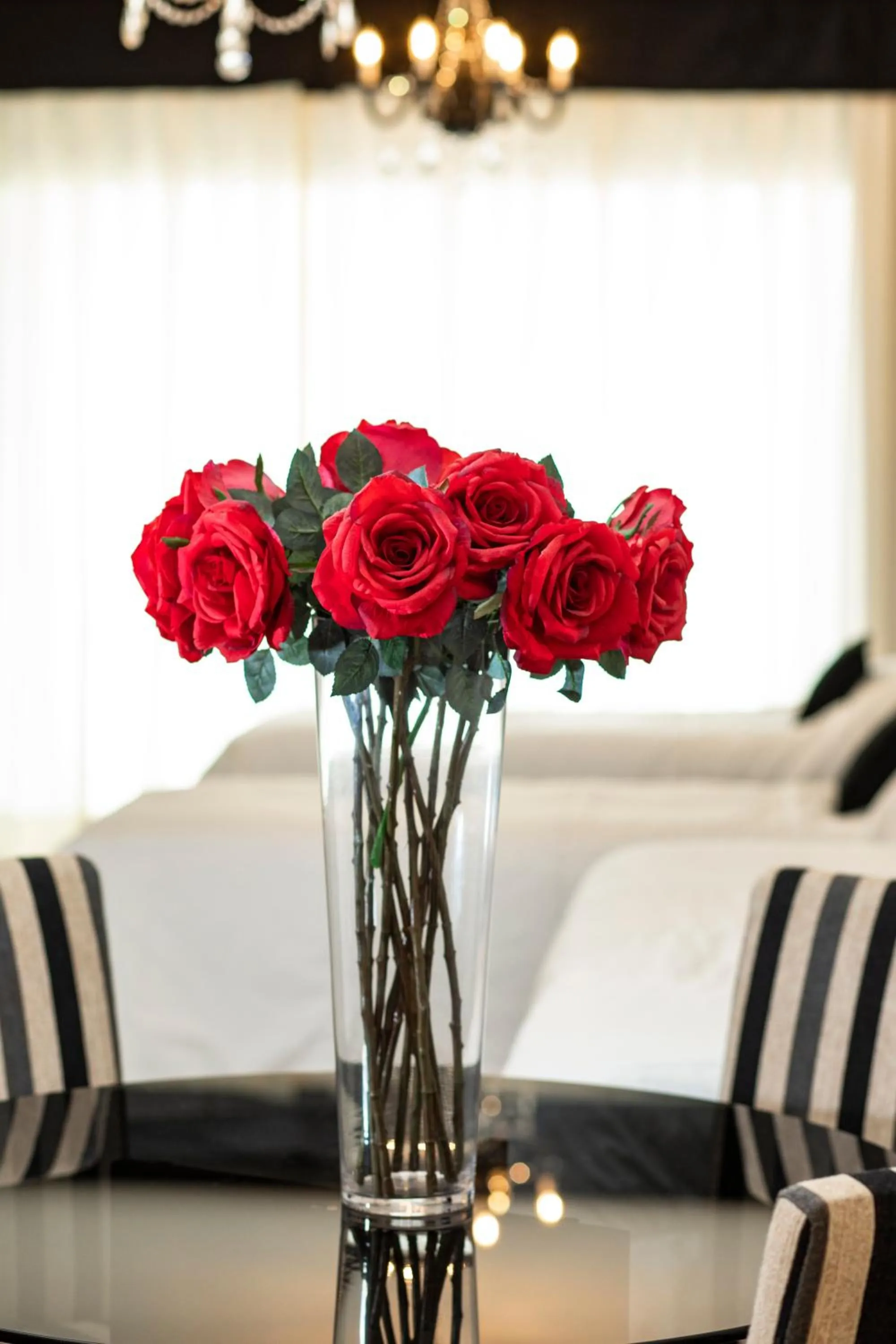 Other in Hotel Boutique Devoto