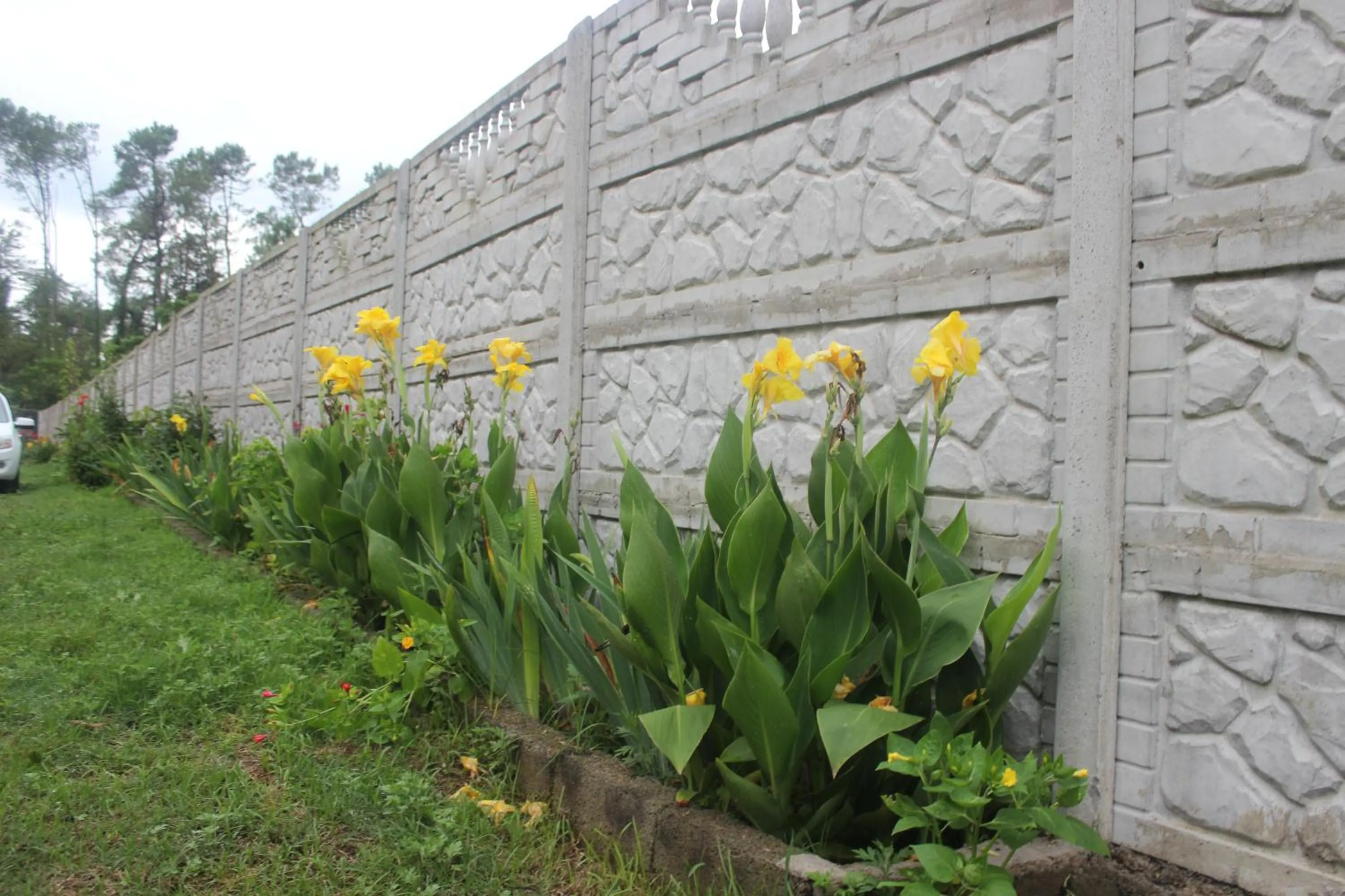 Garden in Hotel Ureki