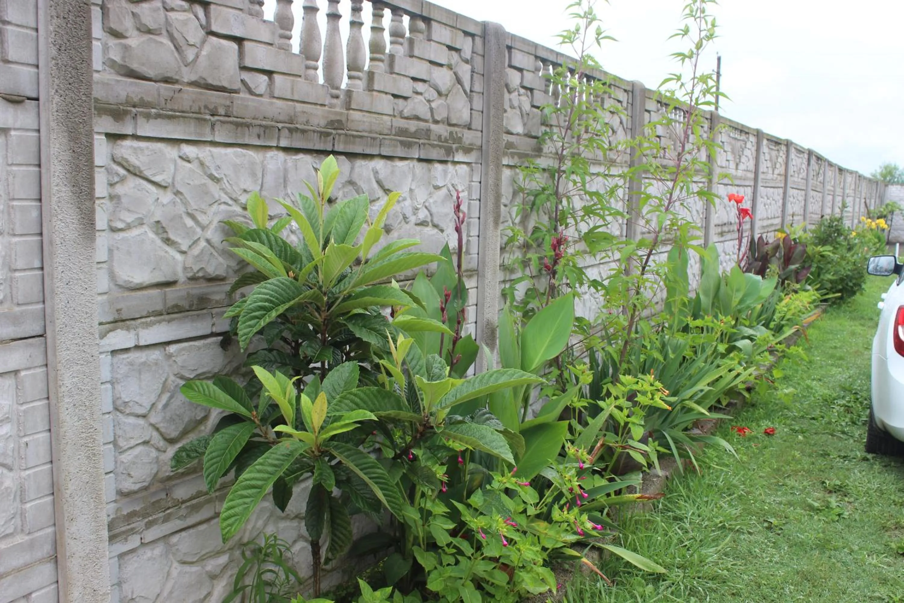 Garden in Hotel Ureki