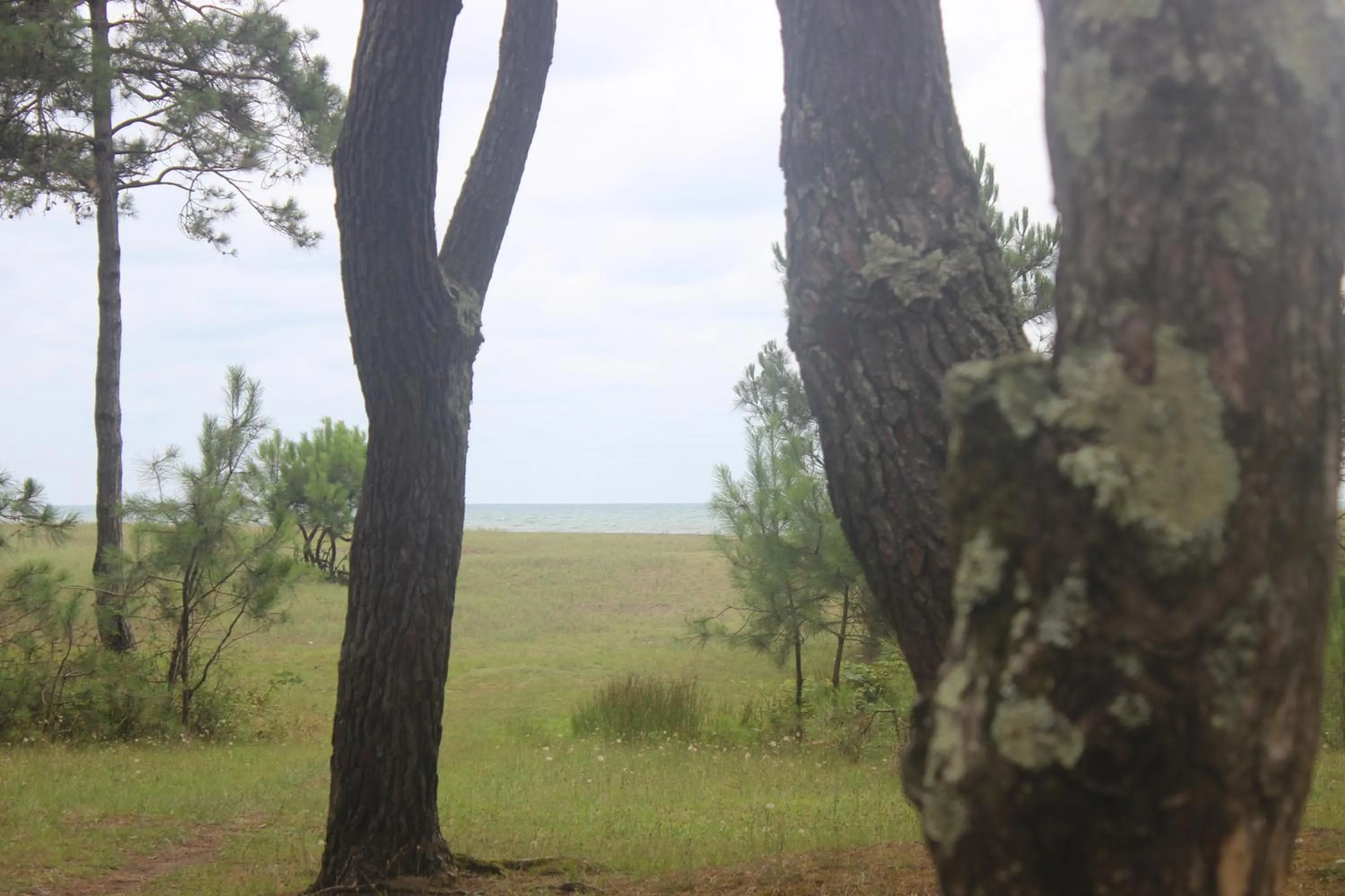 Natural landscape in Hotel Ureki