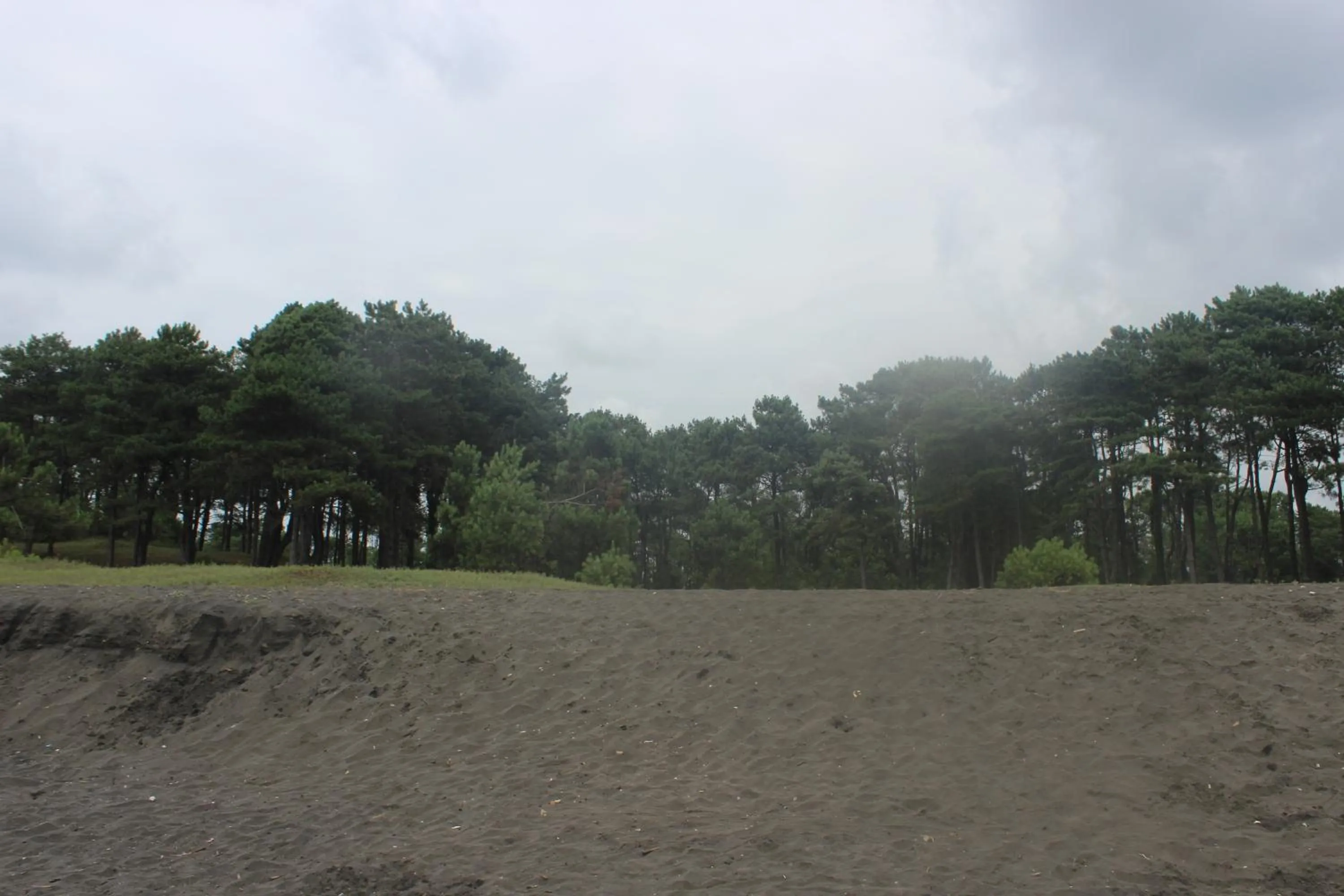 Natural landscape in Hotel Ureki