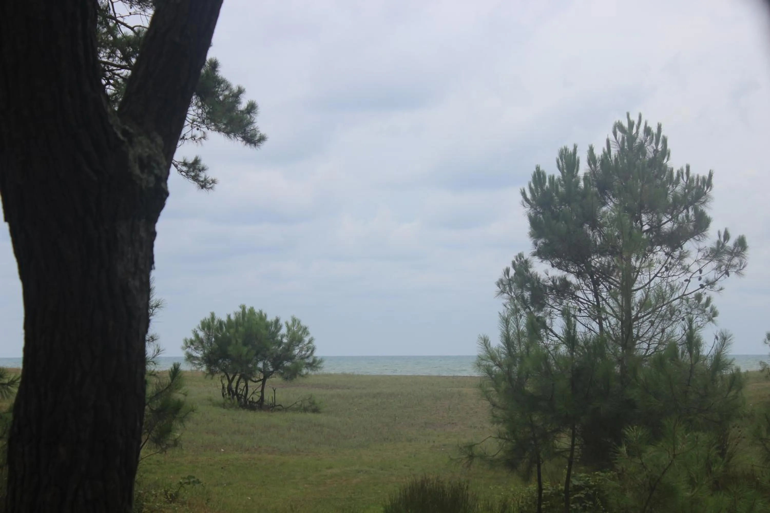 Beach in Hotel Ureki