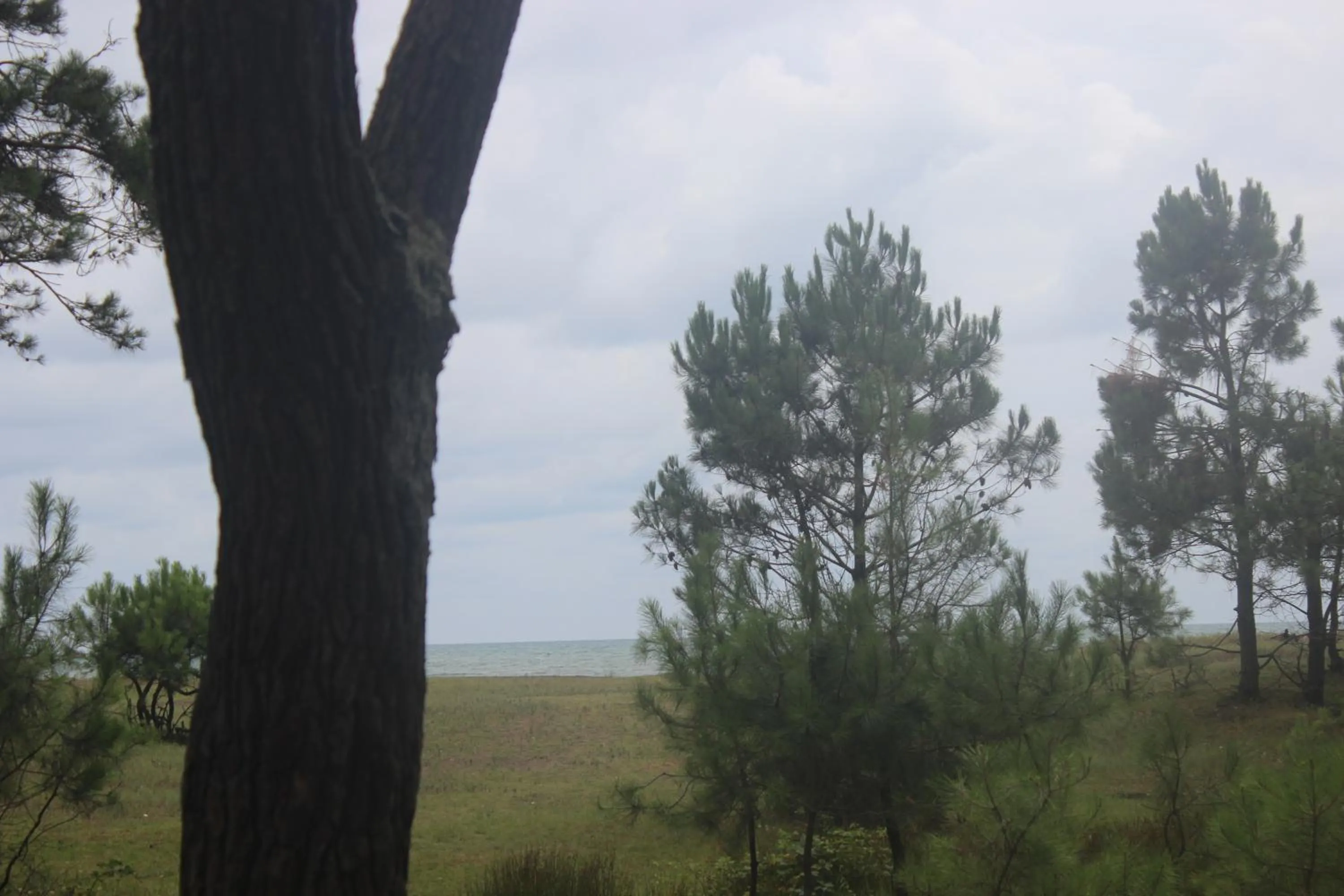 Natural landscape in Hotel Ureki