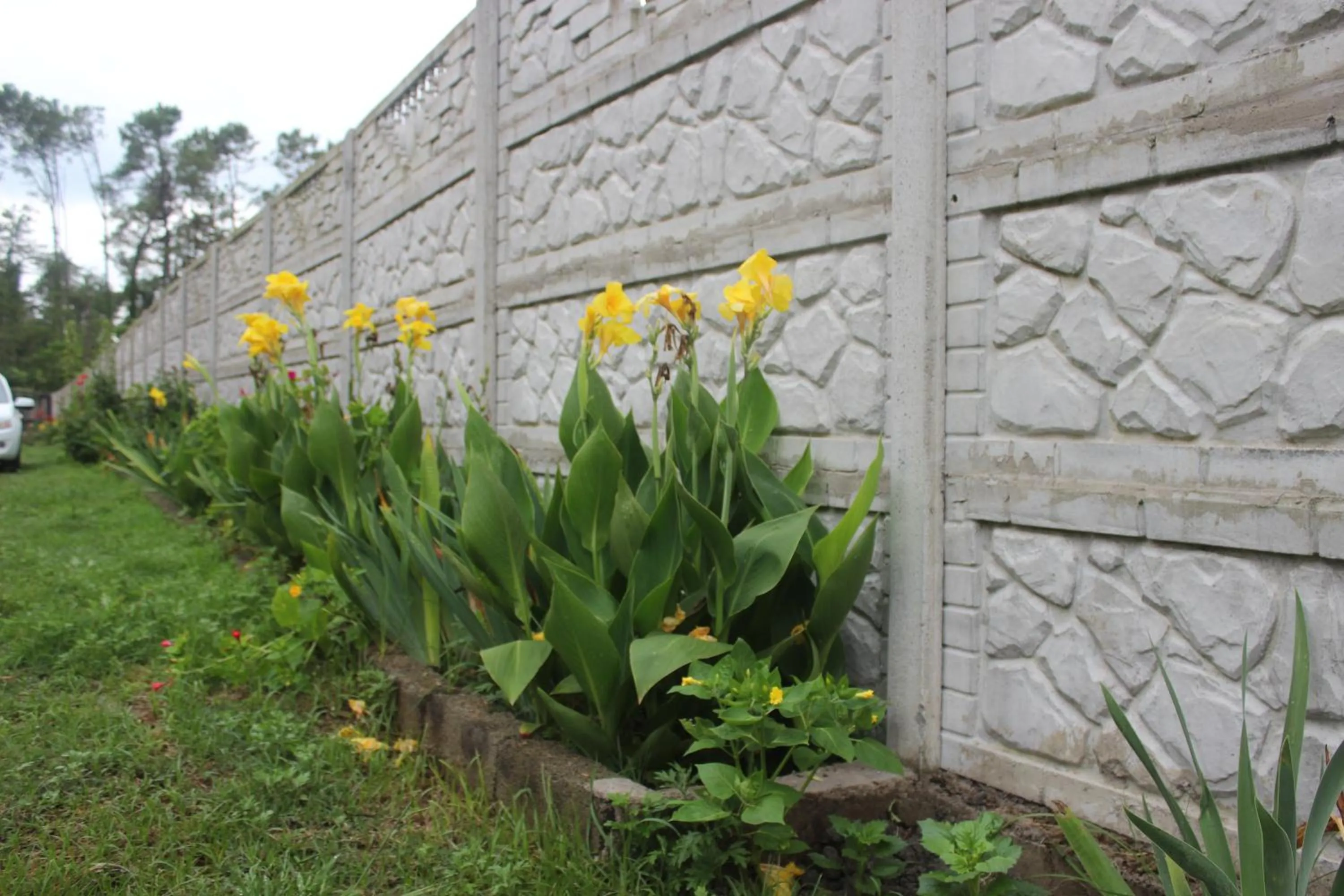 Garden in Hotel Ureki
