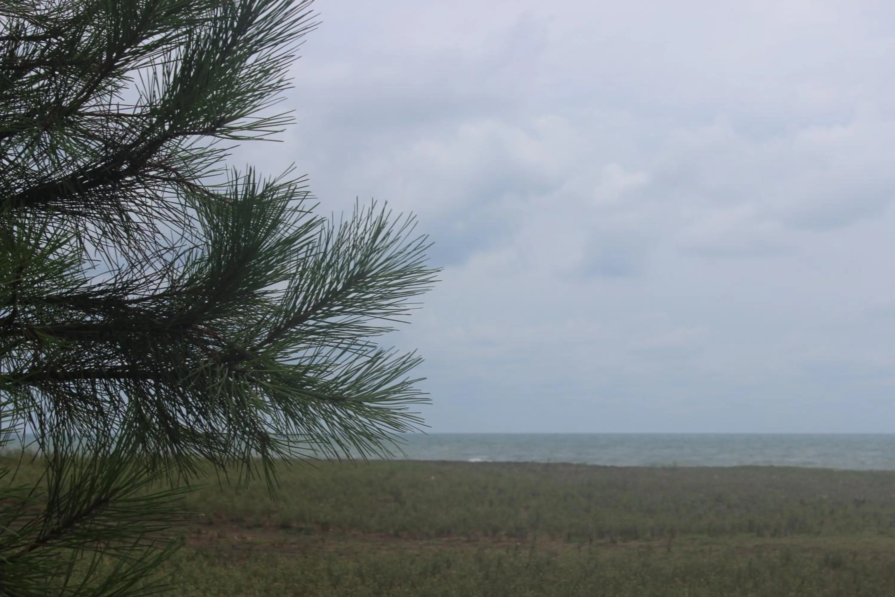Beach in Hotel Ureki