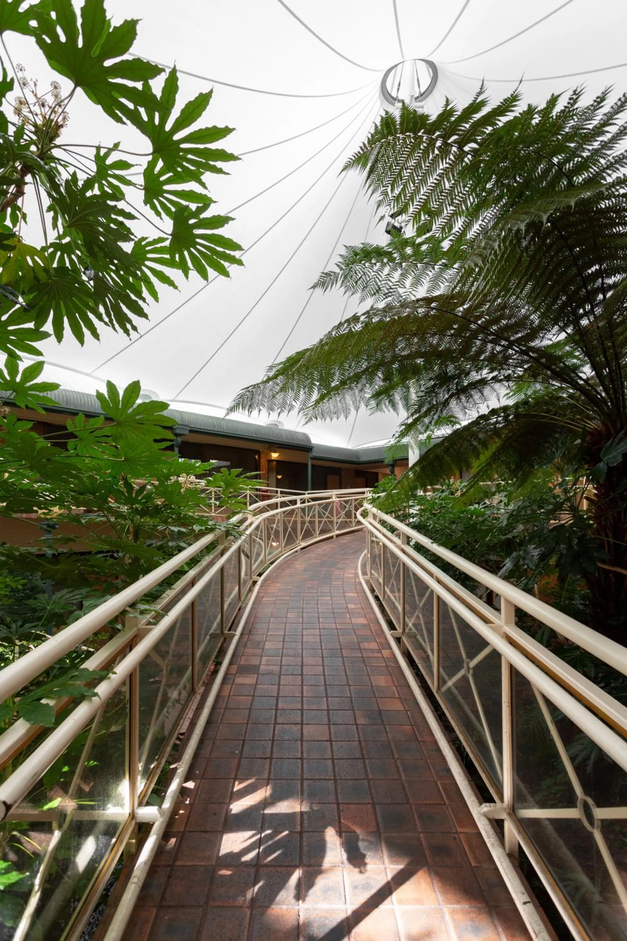 Garden in Mayfair Plaza Motel and Apartments