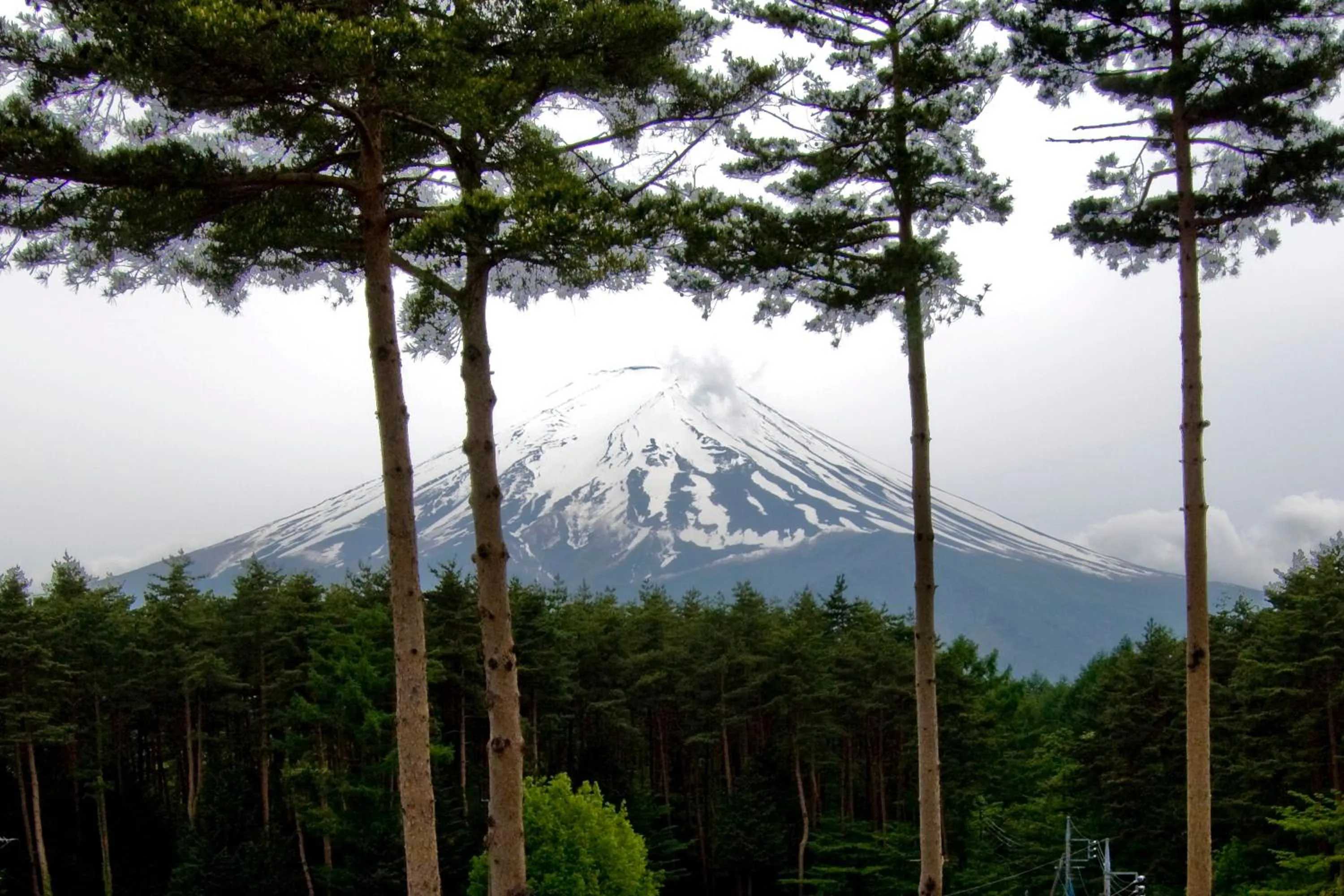 Nearby landmark in Evergreen-Fuji