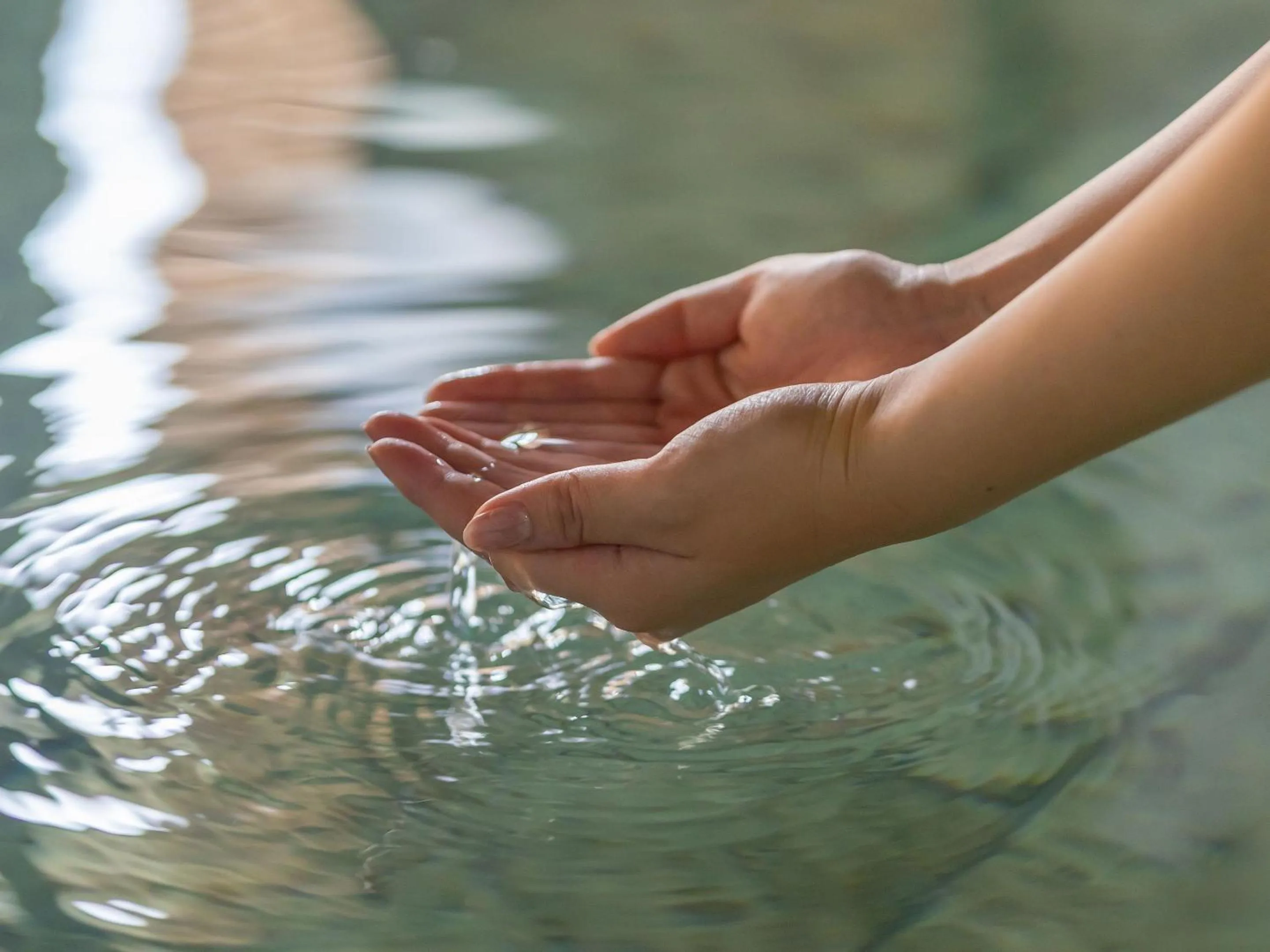Public Bath in Evergreen-Fuji