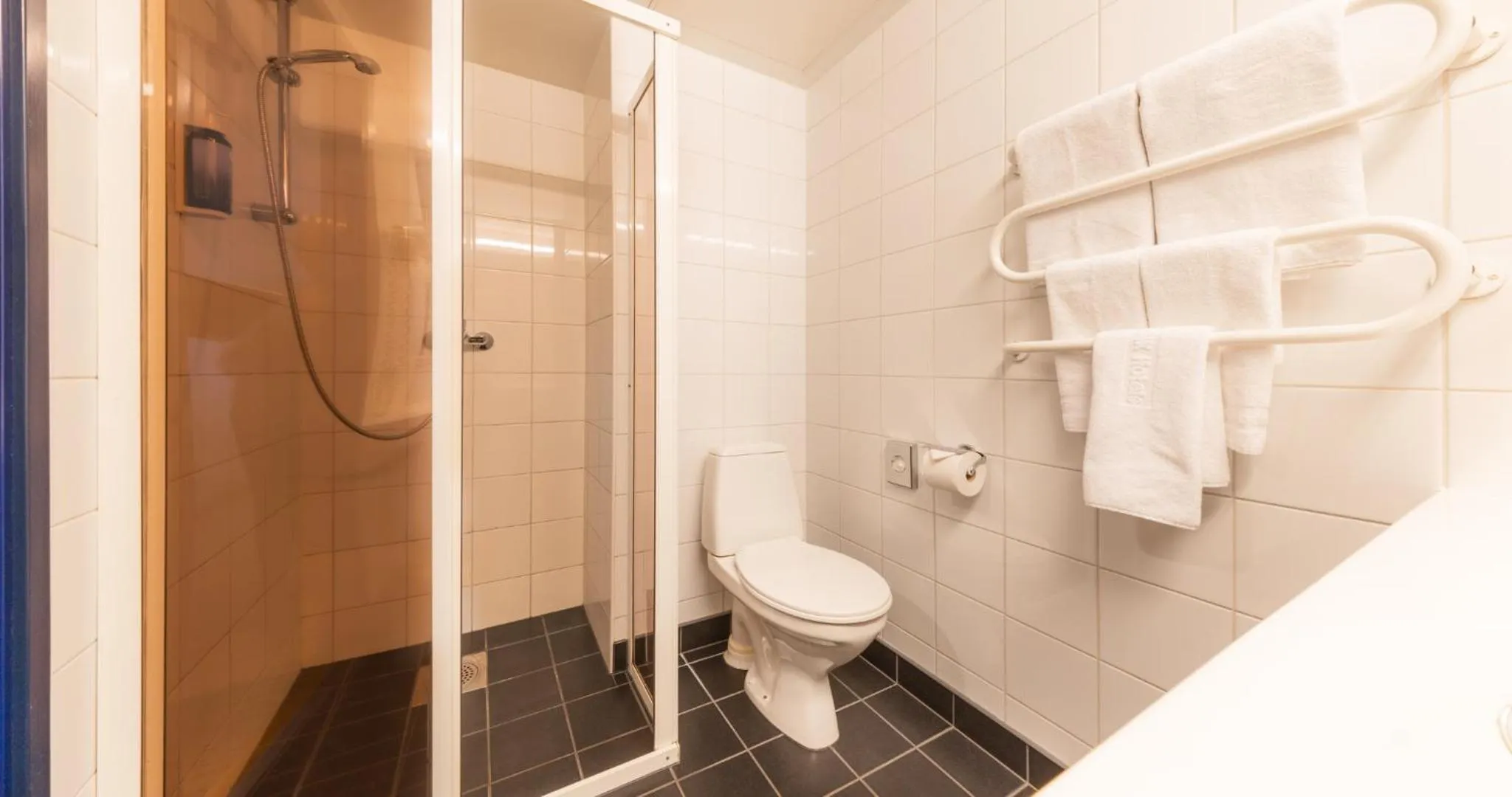 Toilet in Tallink Express Hotel