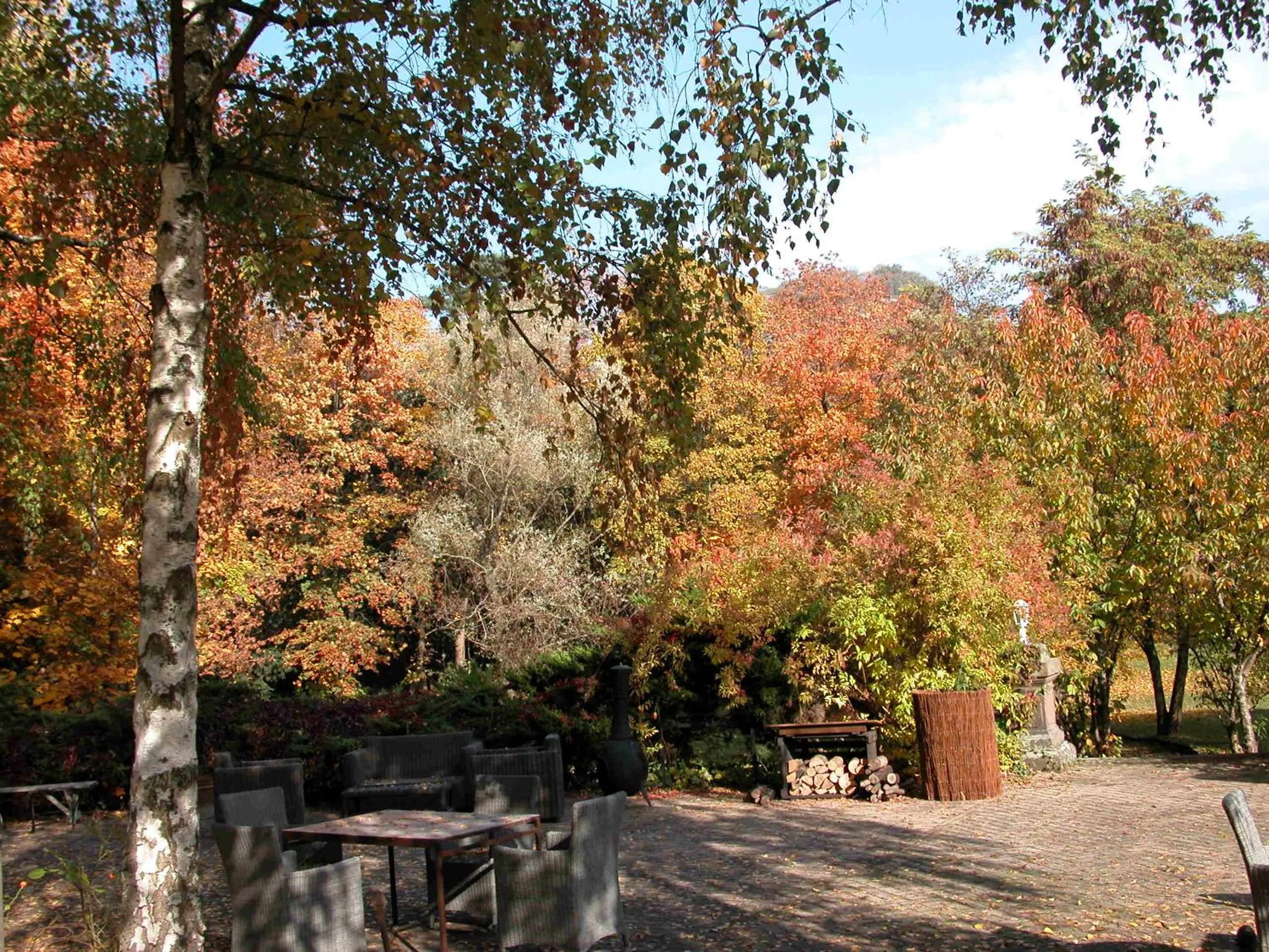Natural landscape in Domaine de Beaupré - Hotel The Originals Relais