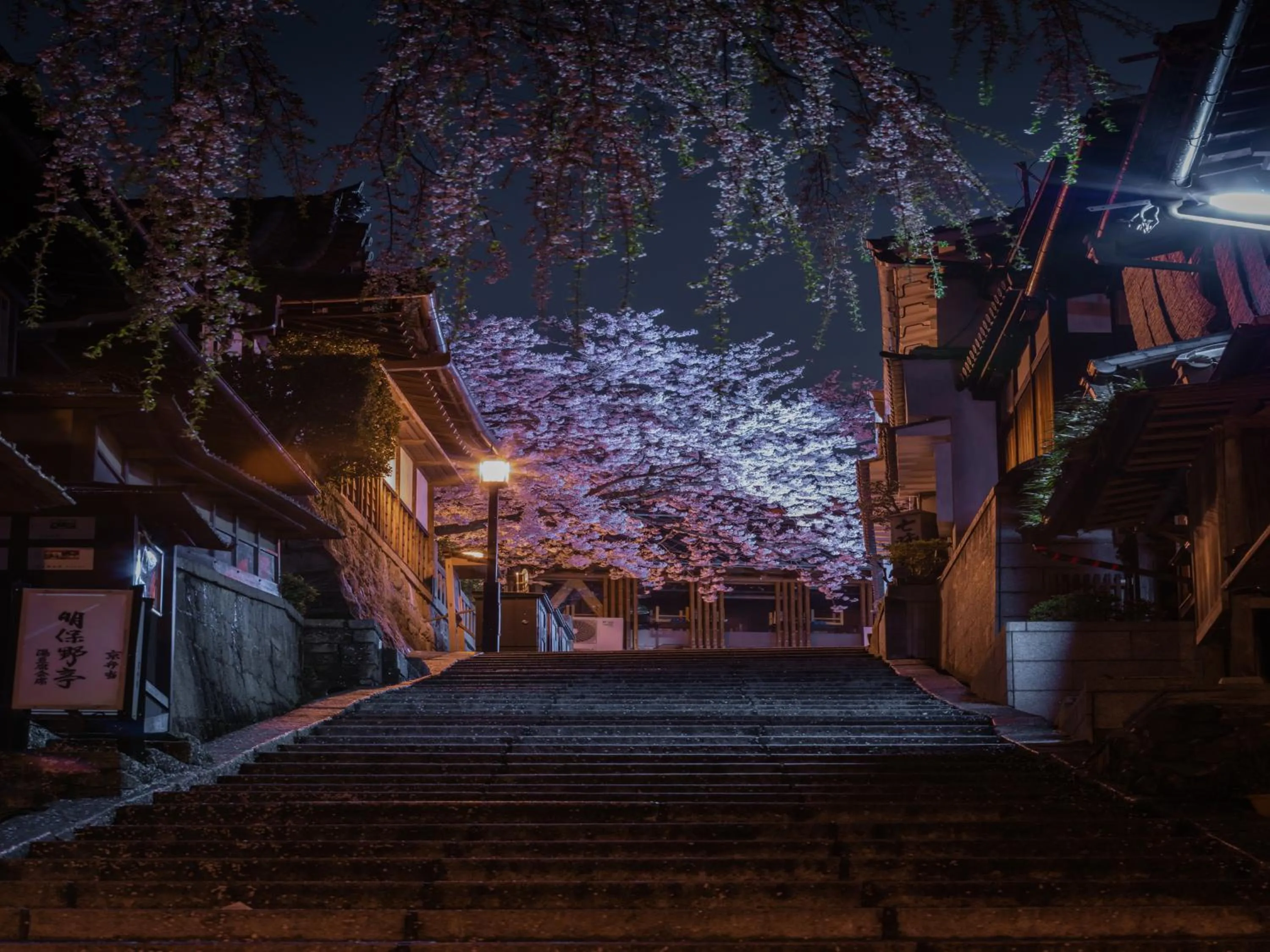 Spring in Kyoto Inn Gion