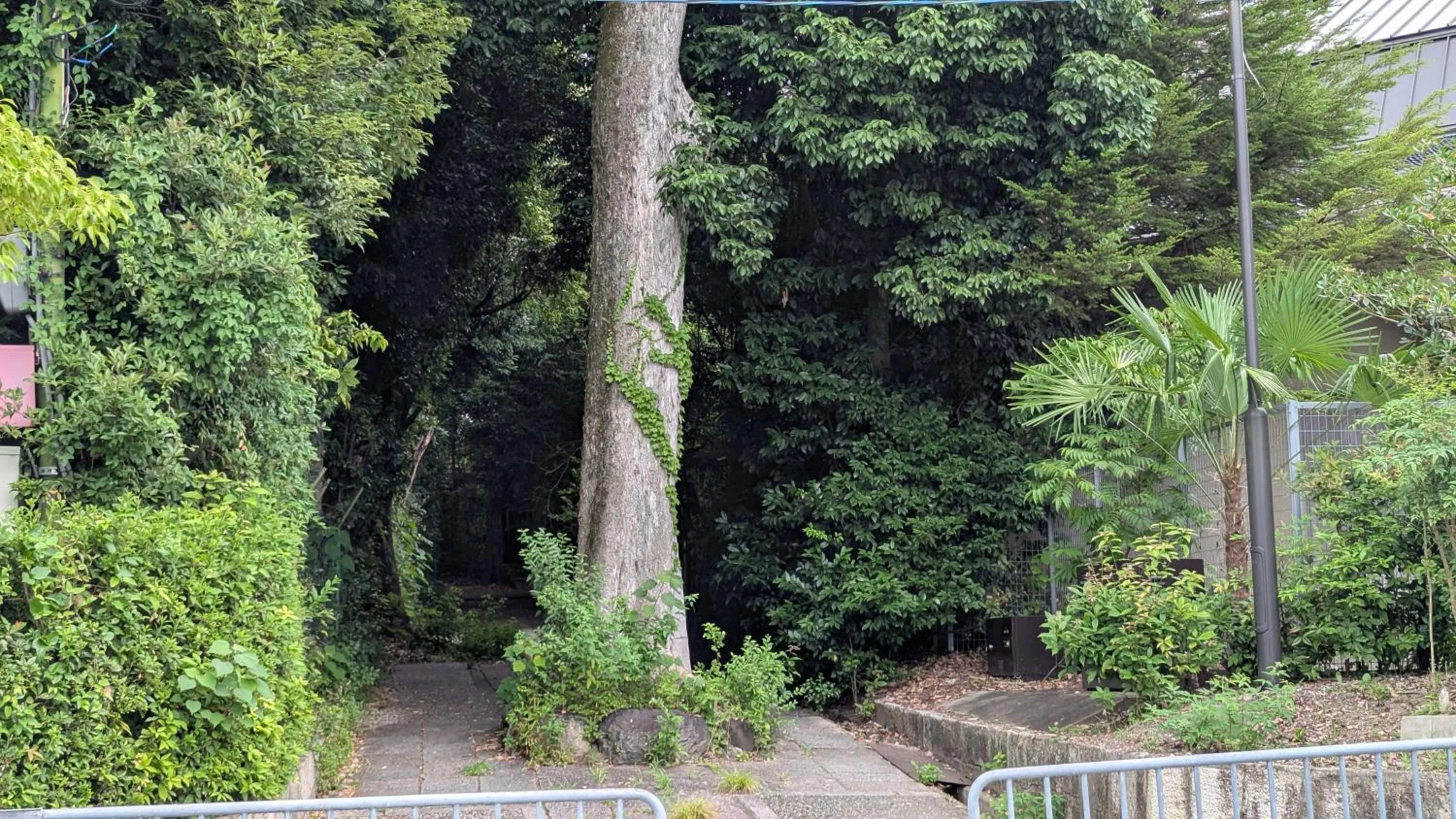 Off site in Kyoto Inn Gion