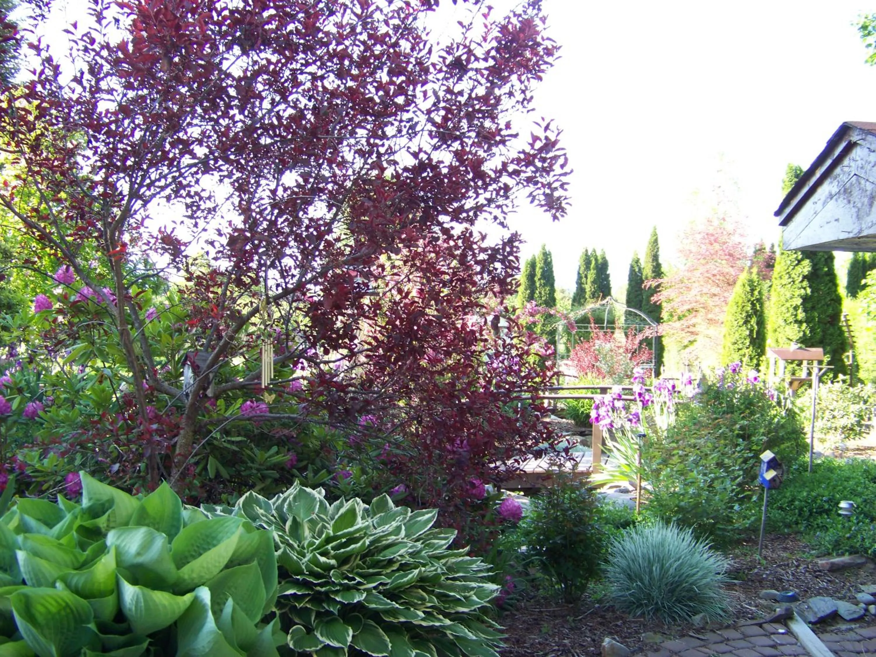 Property building in Bavarian Orchard Motel