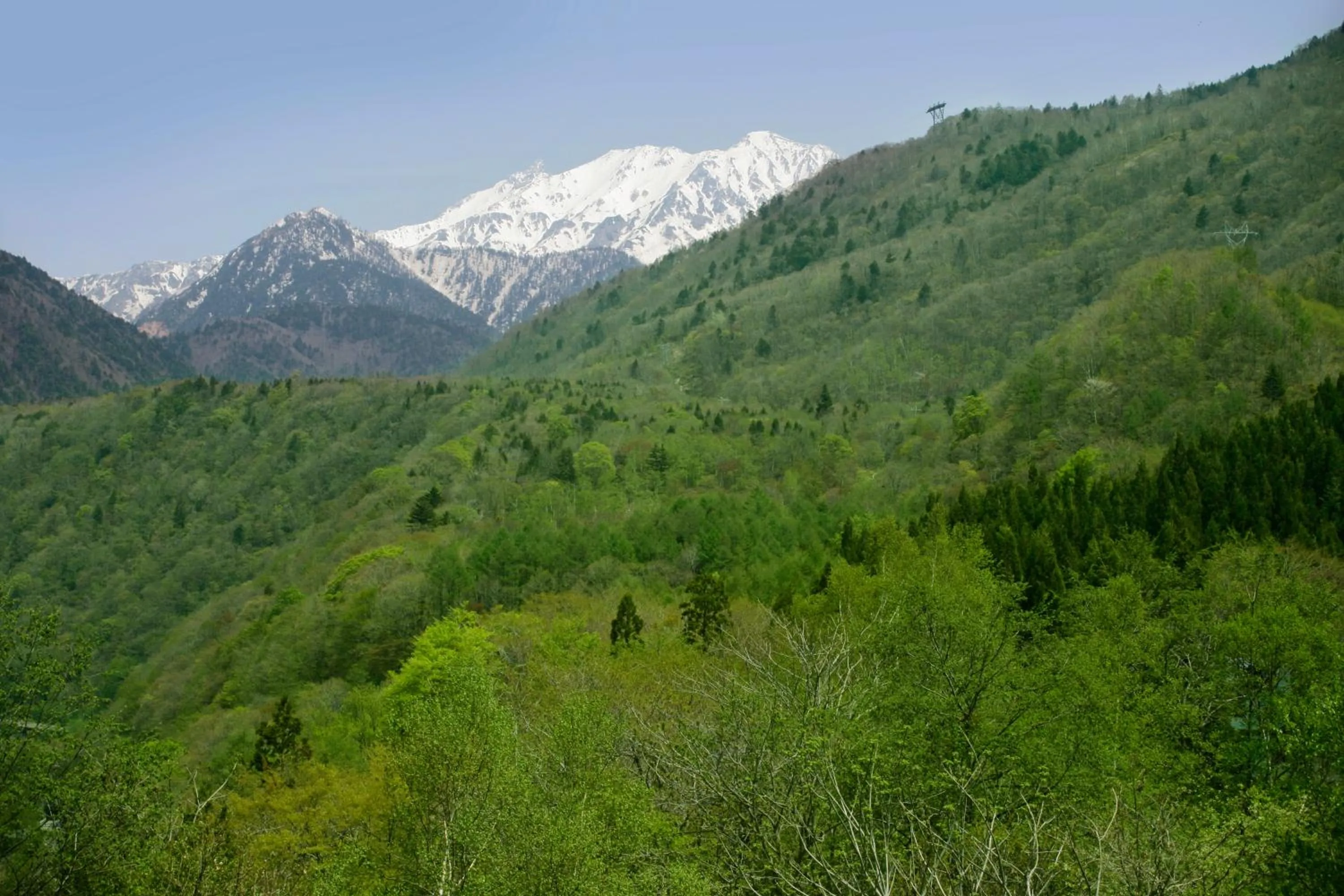 Nearby landmark in Nakao Kogen Hotel Kazaguruma