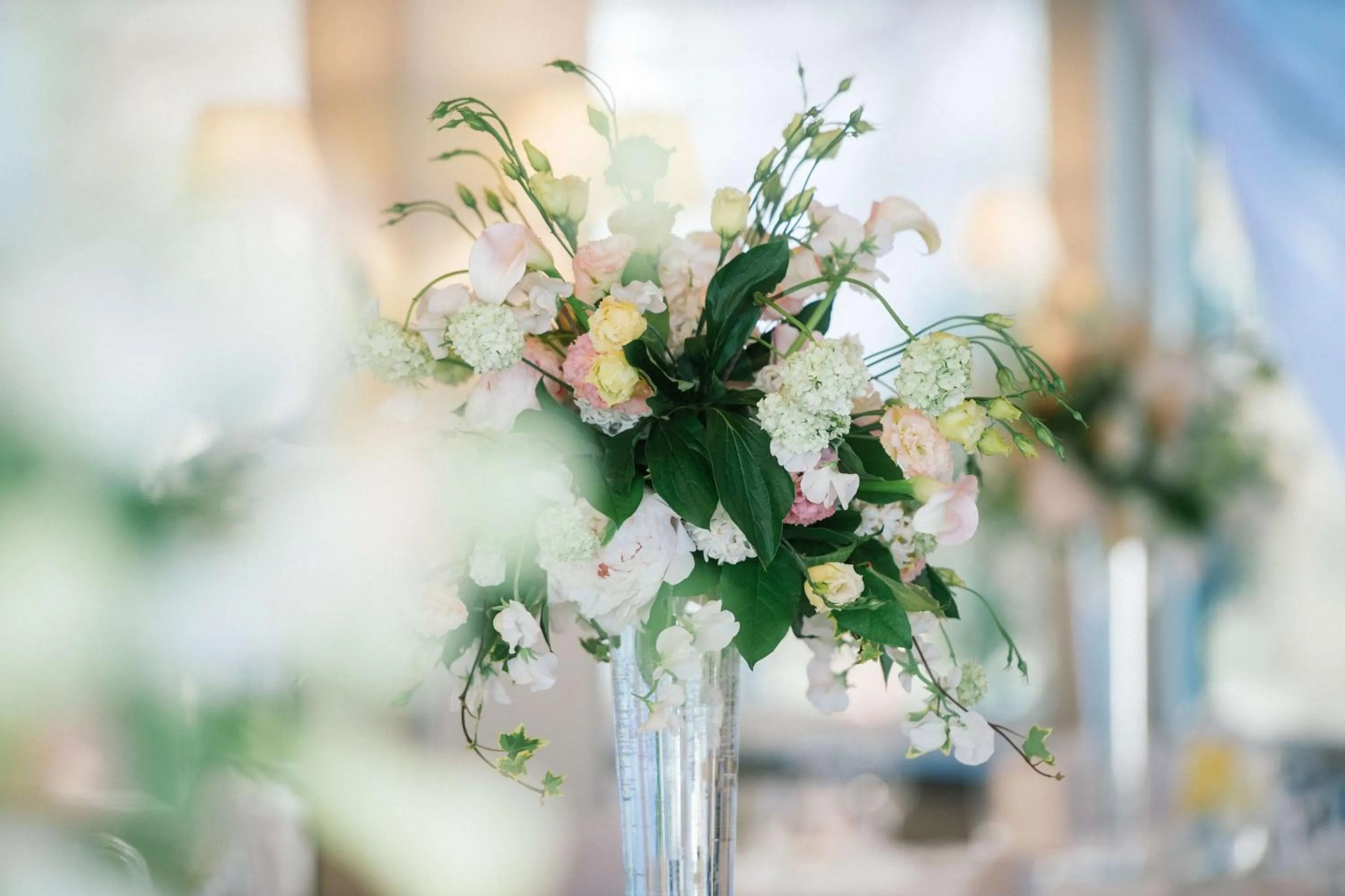 Other in Radisson Blu Hotel Olümpia