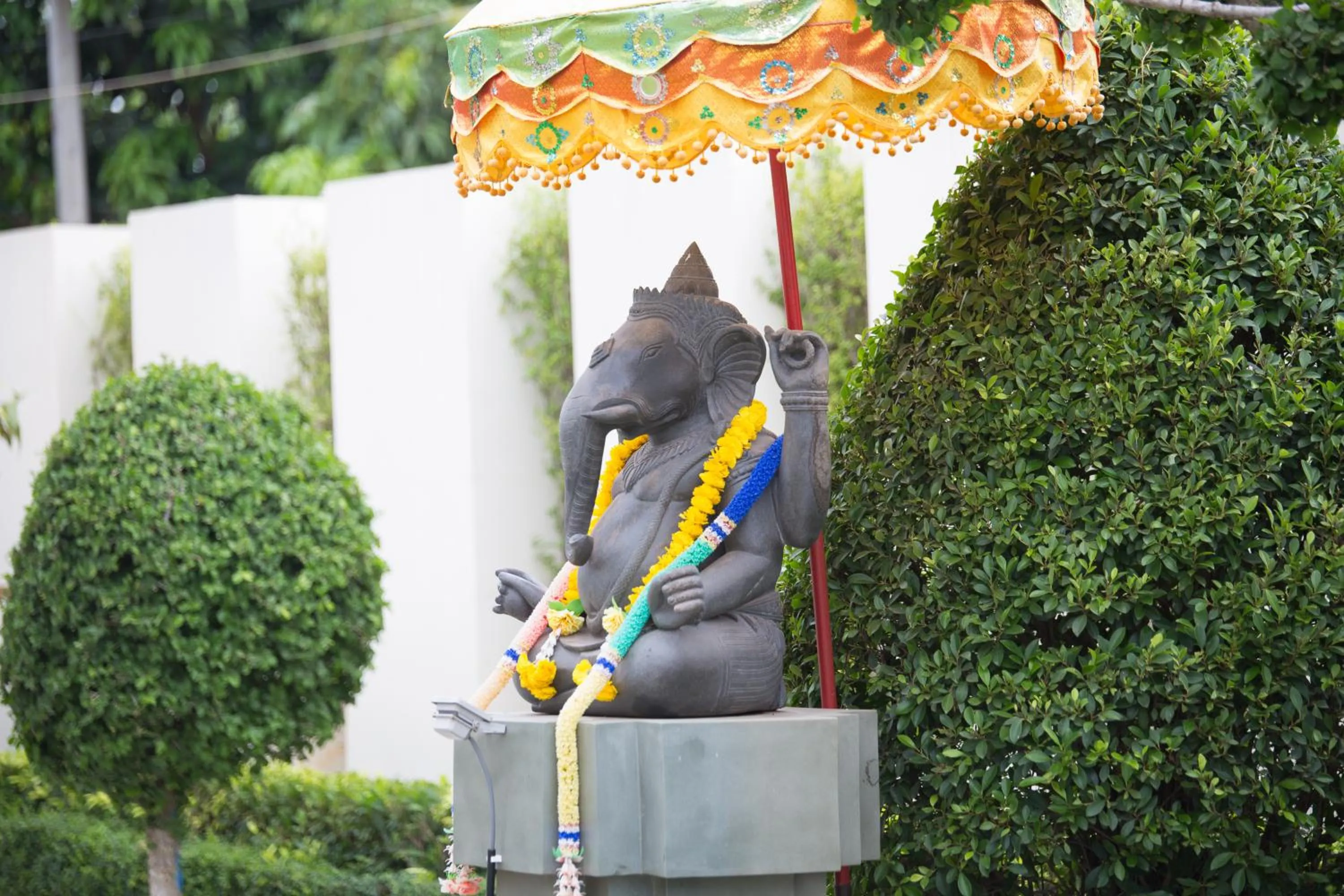 Garden view in KT Apartment