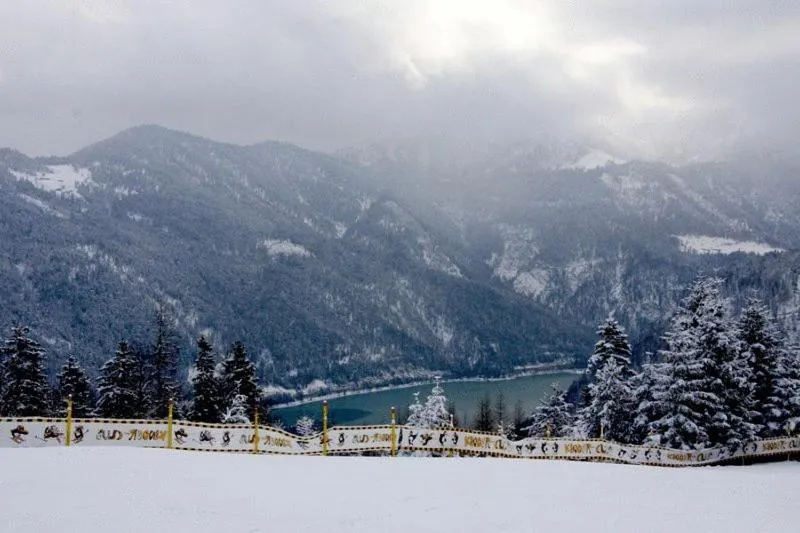 Area and facilities in Bed & Breakfast Der Tiroler