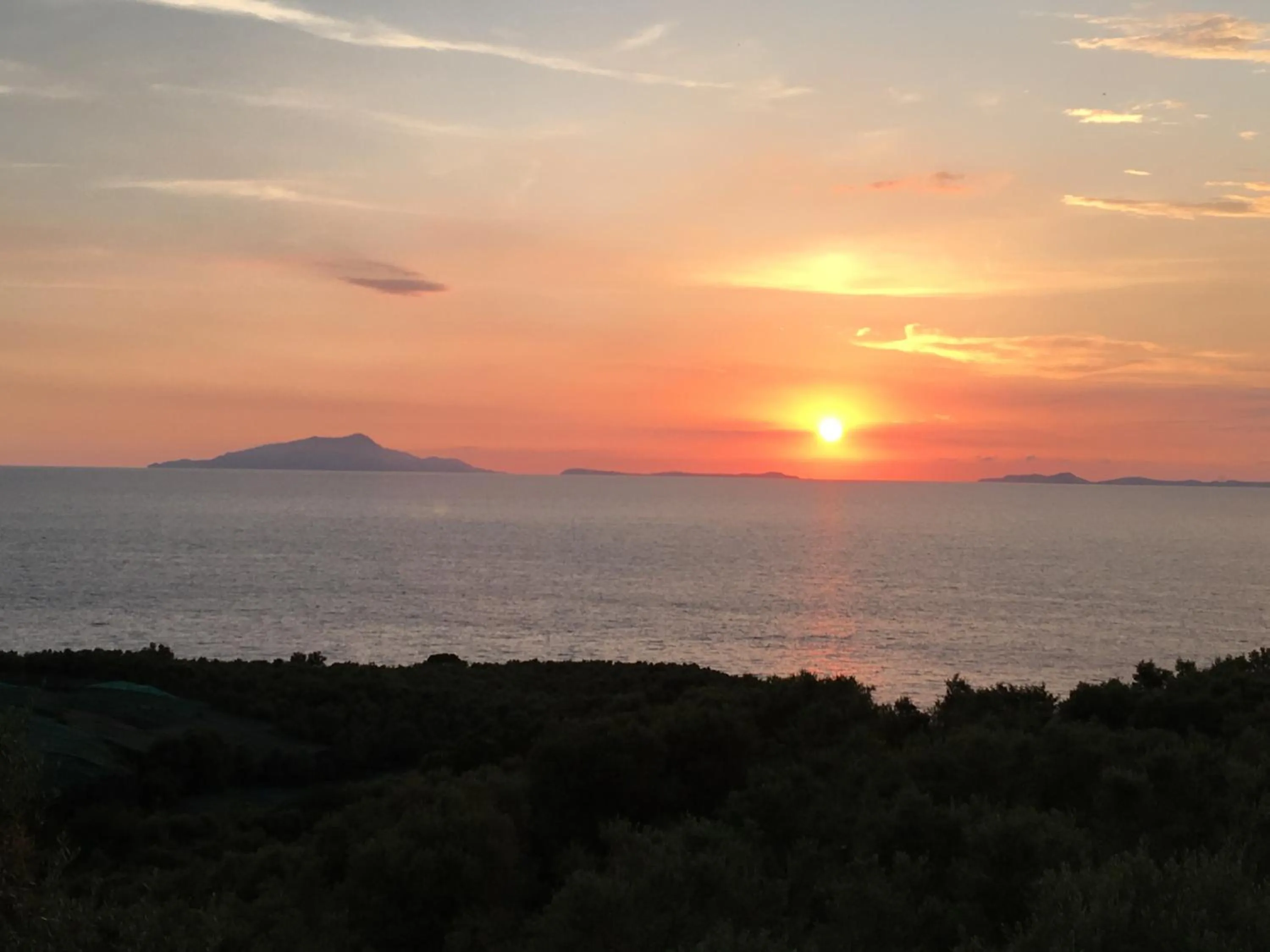 Sea view in Hotel Dania