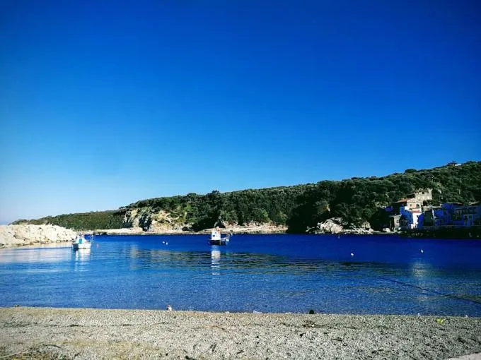 Beach in Hotel Dania