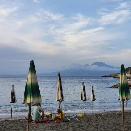 Beach in Hotel Dania