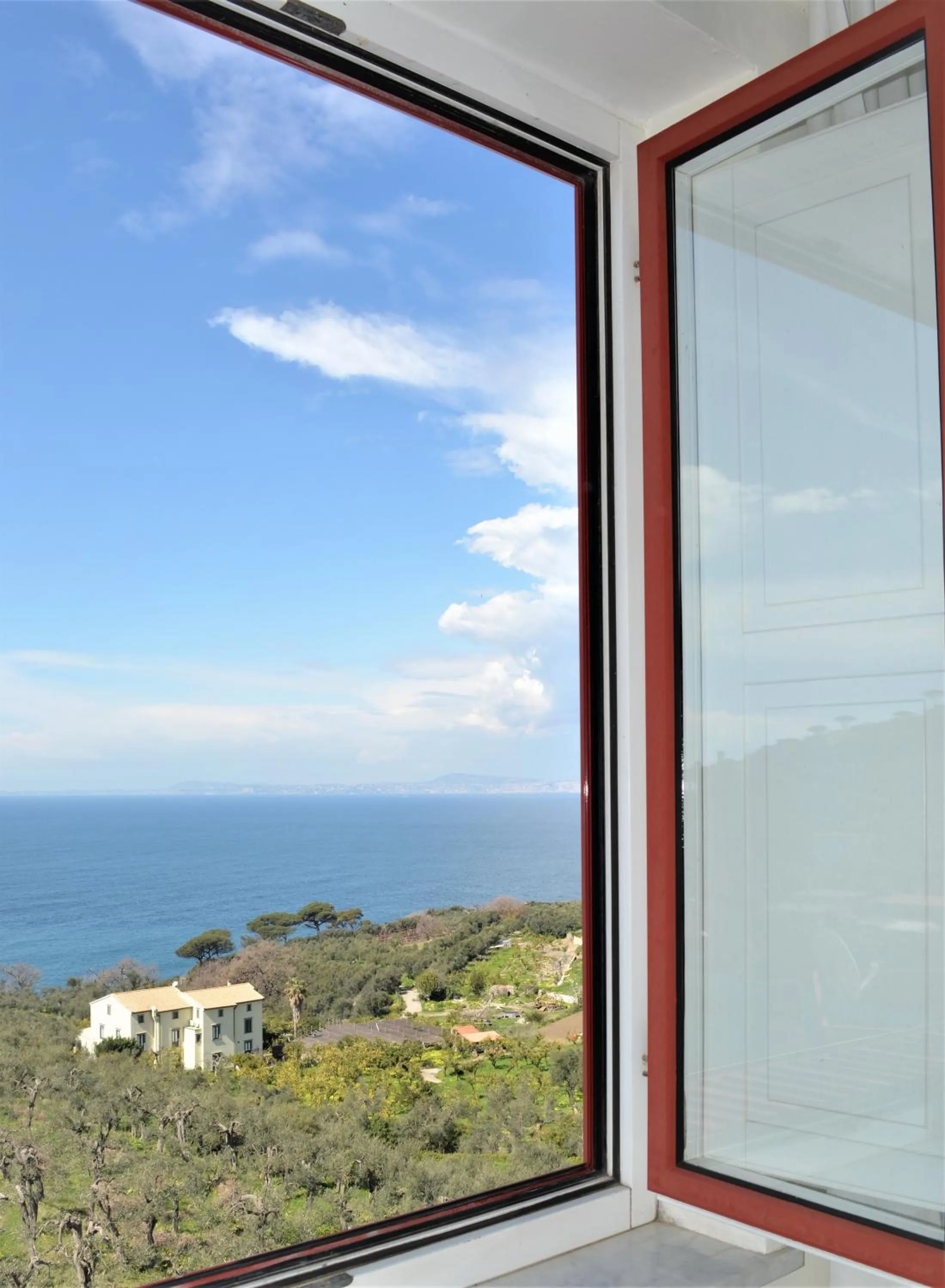 View (from property/room) in Hotel Dania