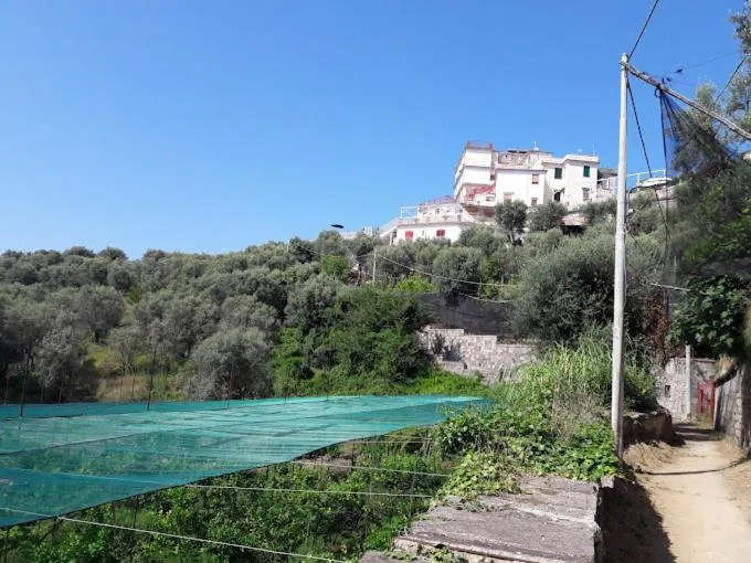 Other in Hotel Dania