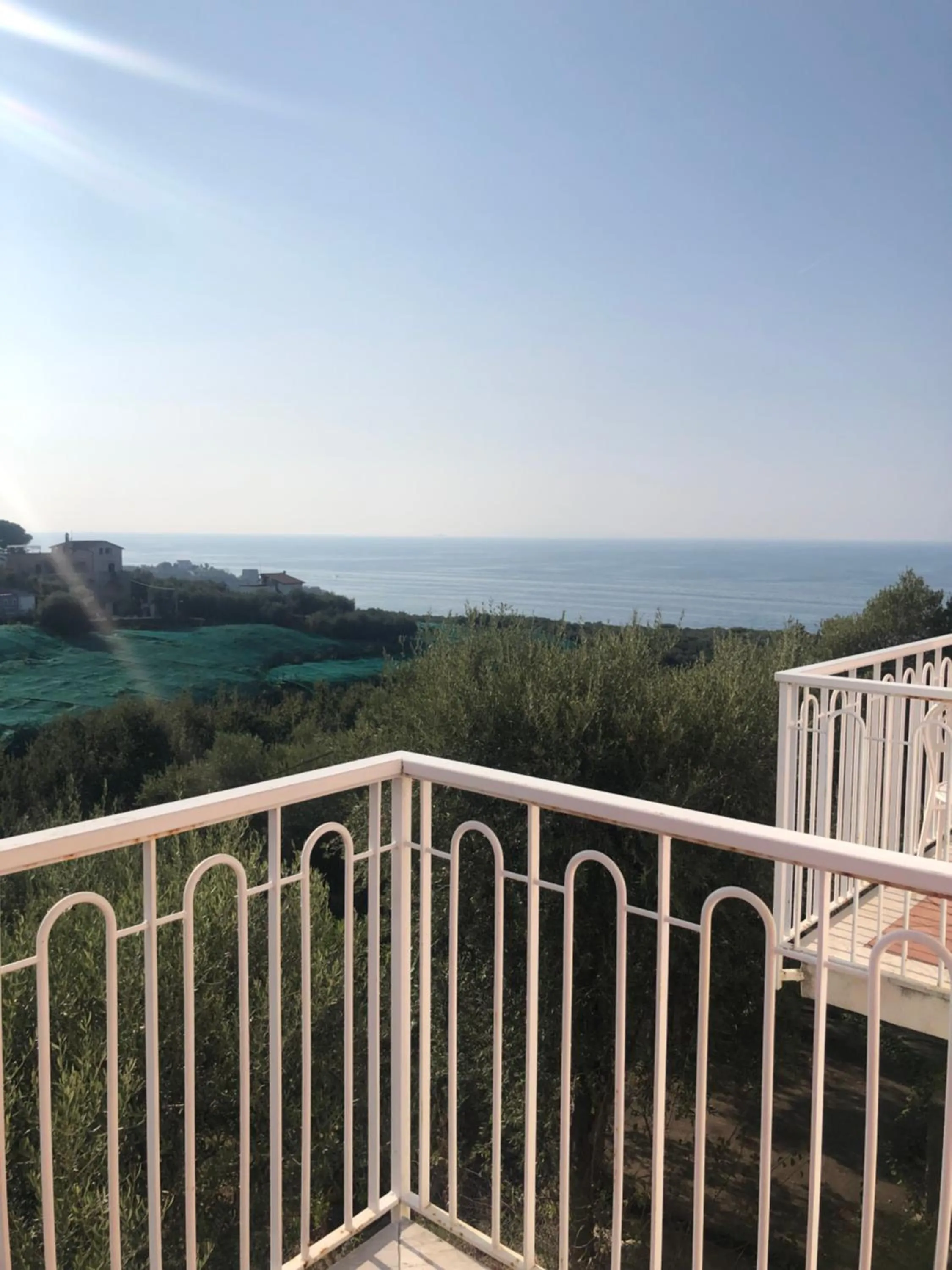 Garden view in Hotel Dania