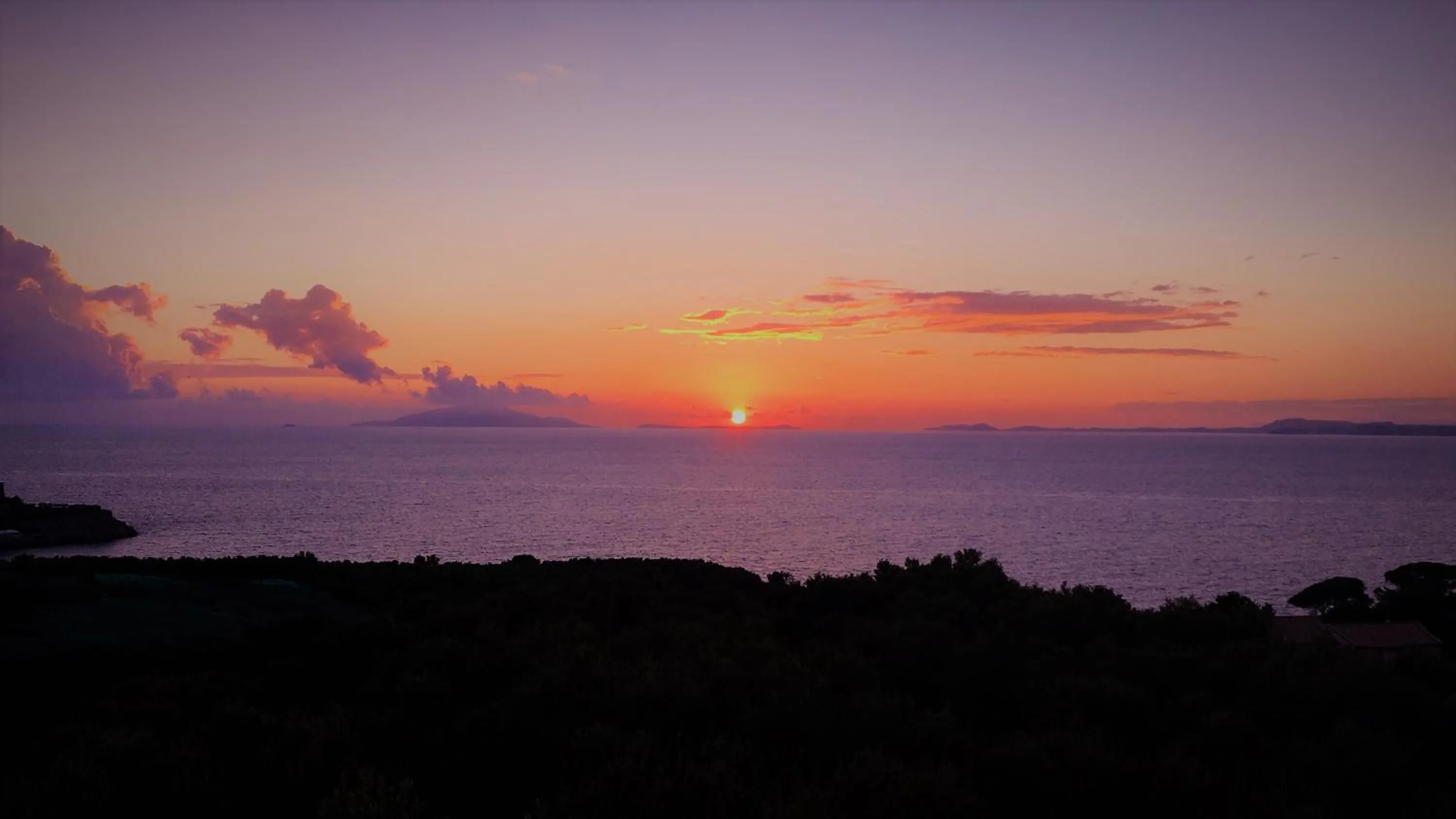 View (from property/room) in Hotel Dania