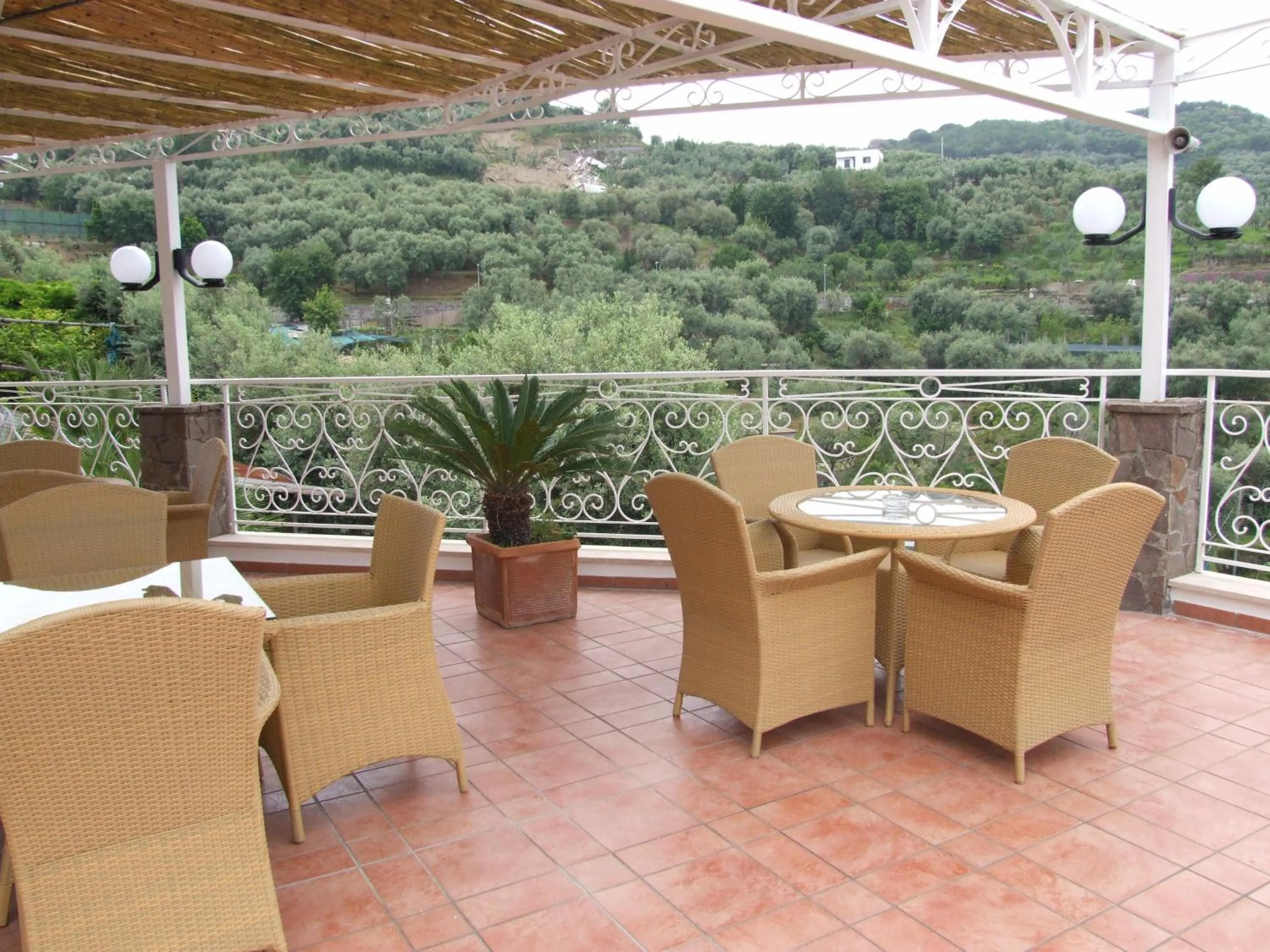 Patio in Hotel Dania