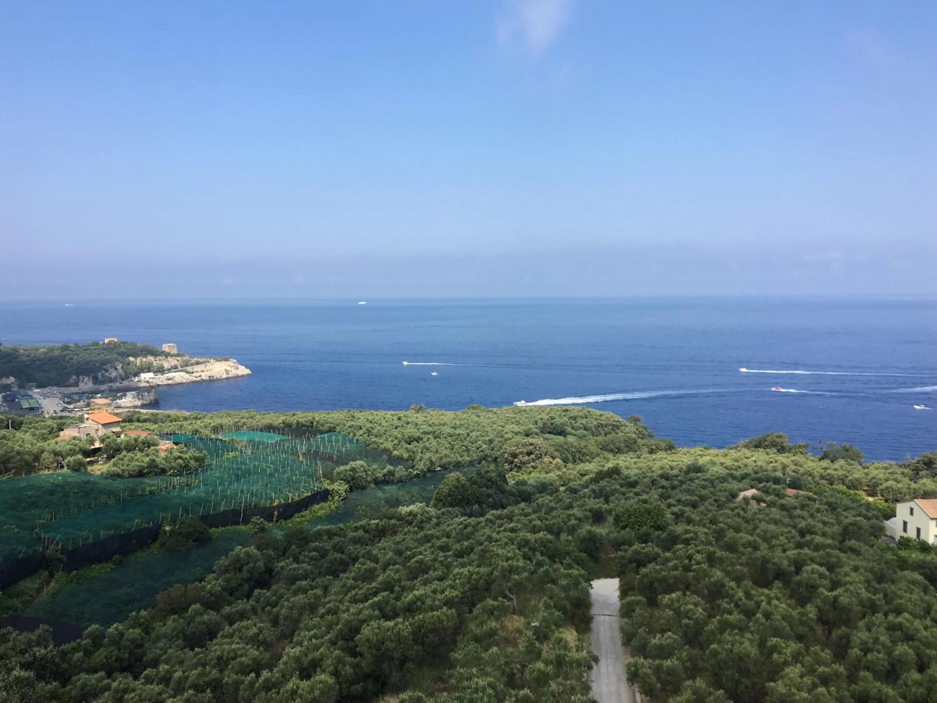 Sea view in Hotel Dania