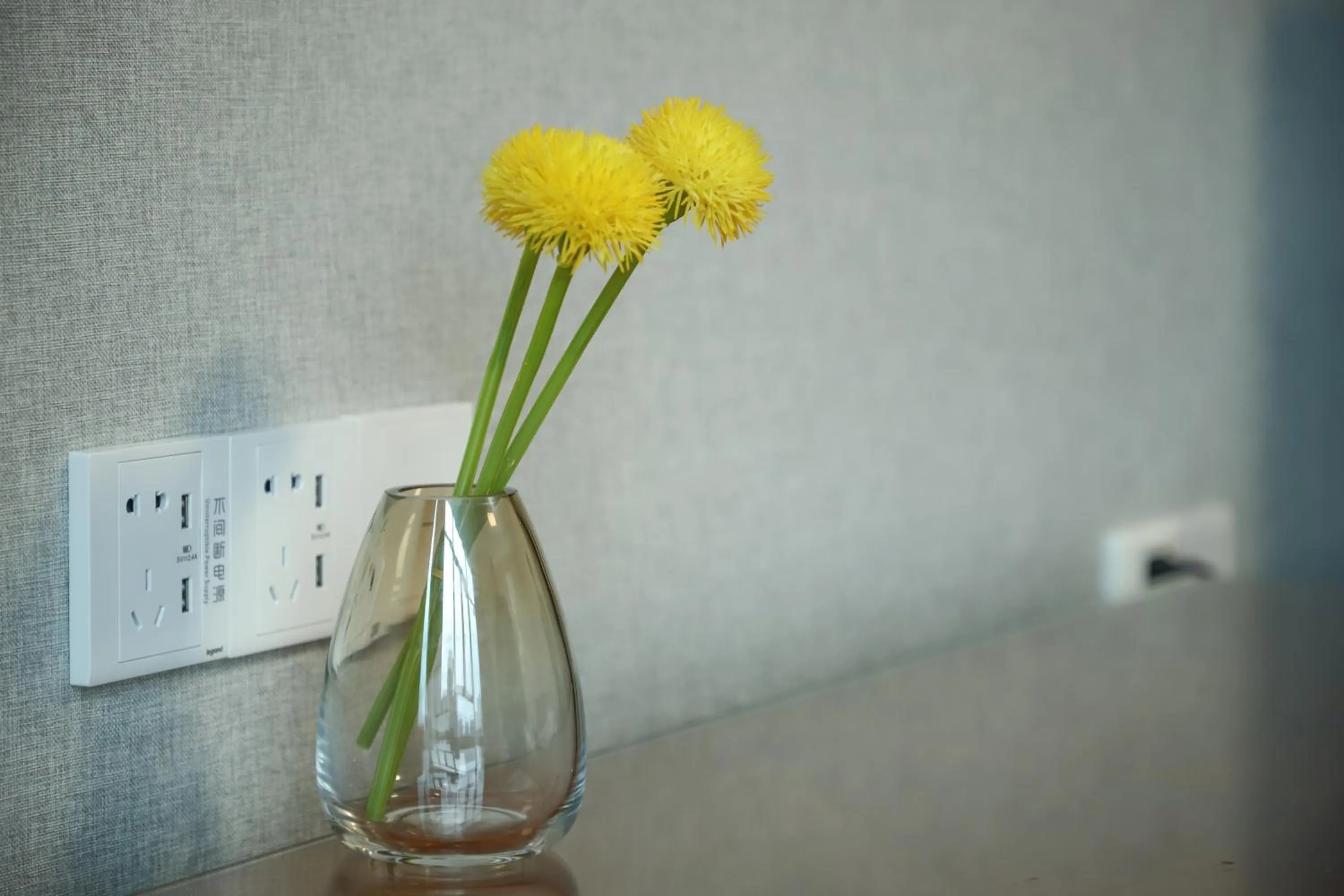 Five Rams City Hotel