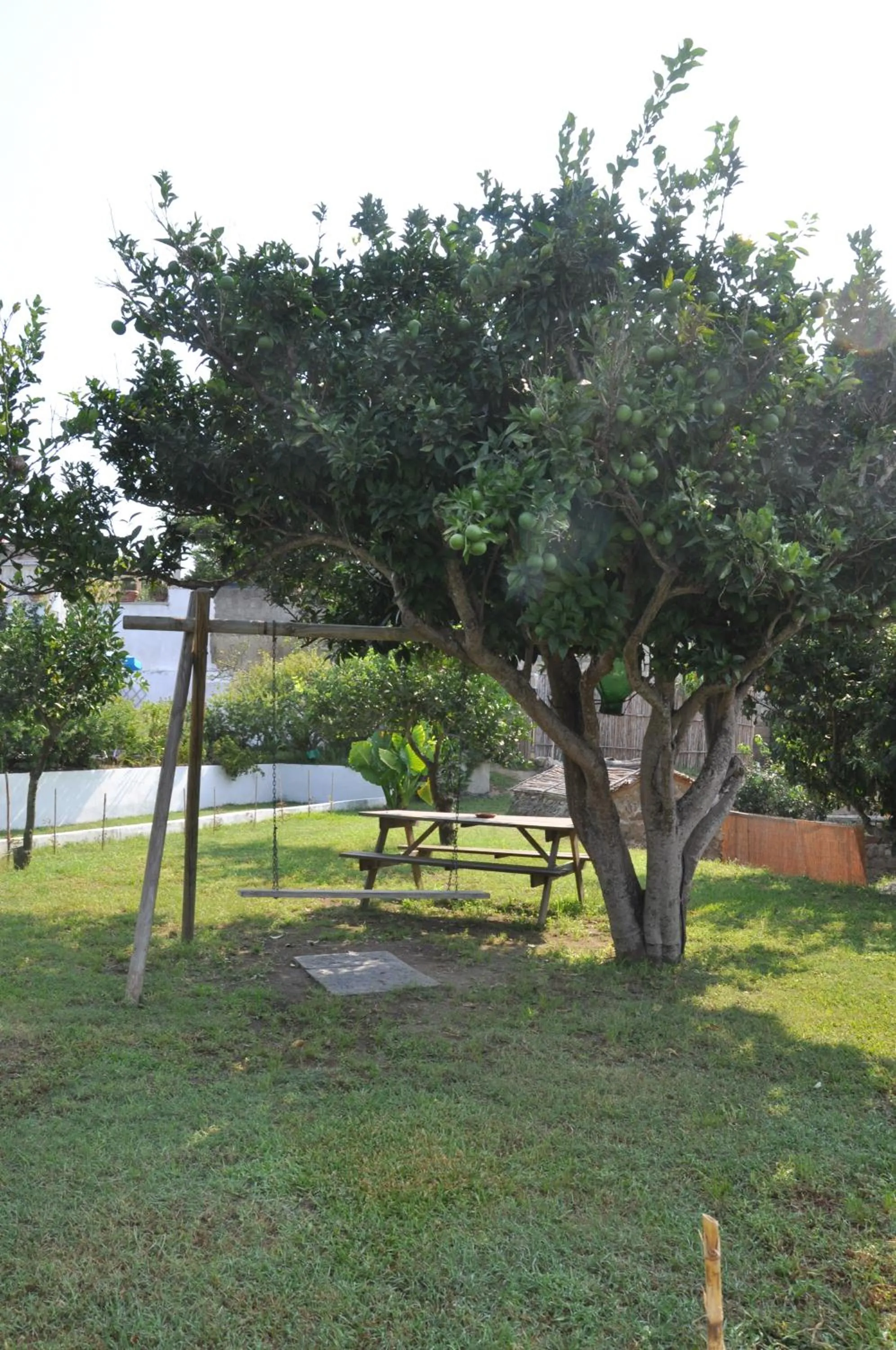 Garden in Hotel Savoia