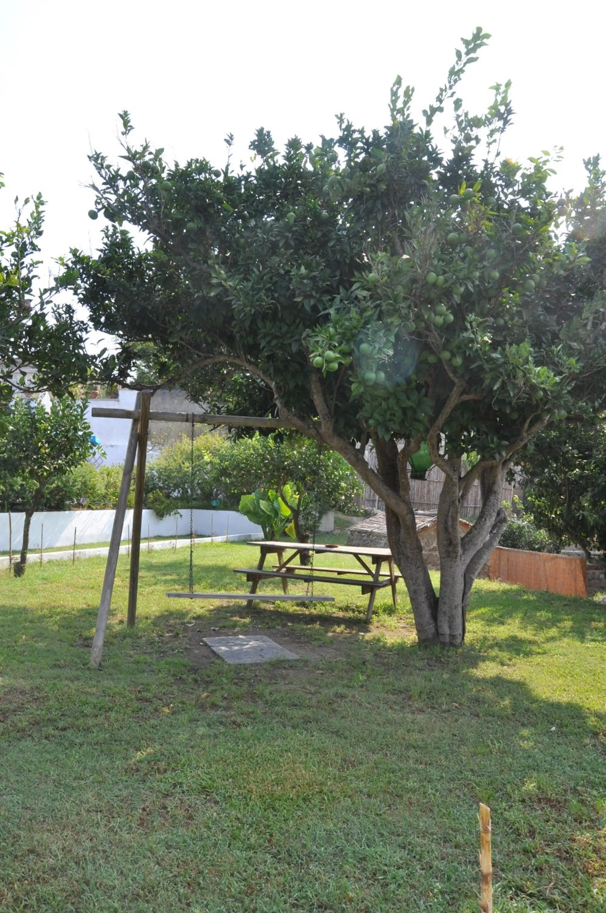 Garden in Hotel Savoia