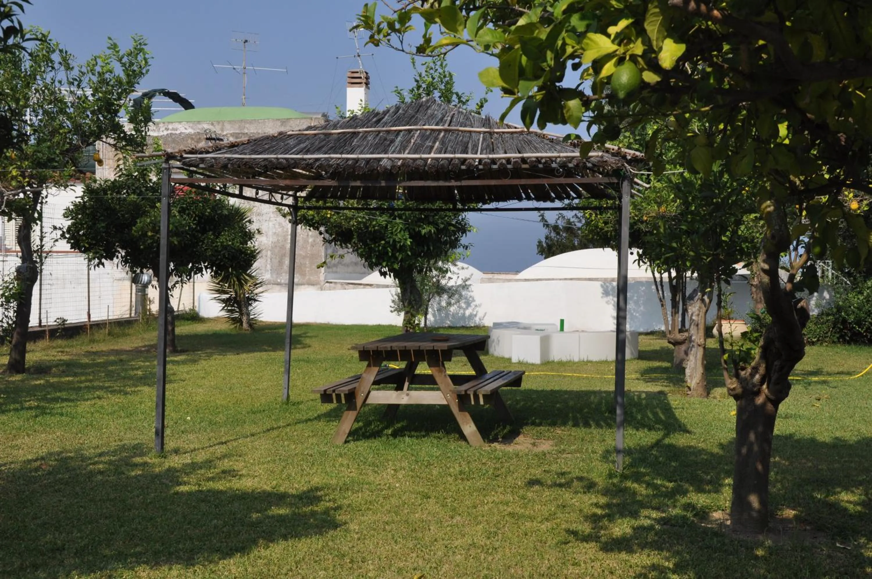 Garden in Hotel Savoia