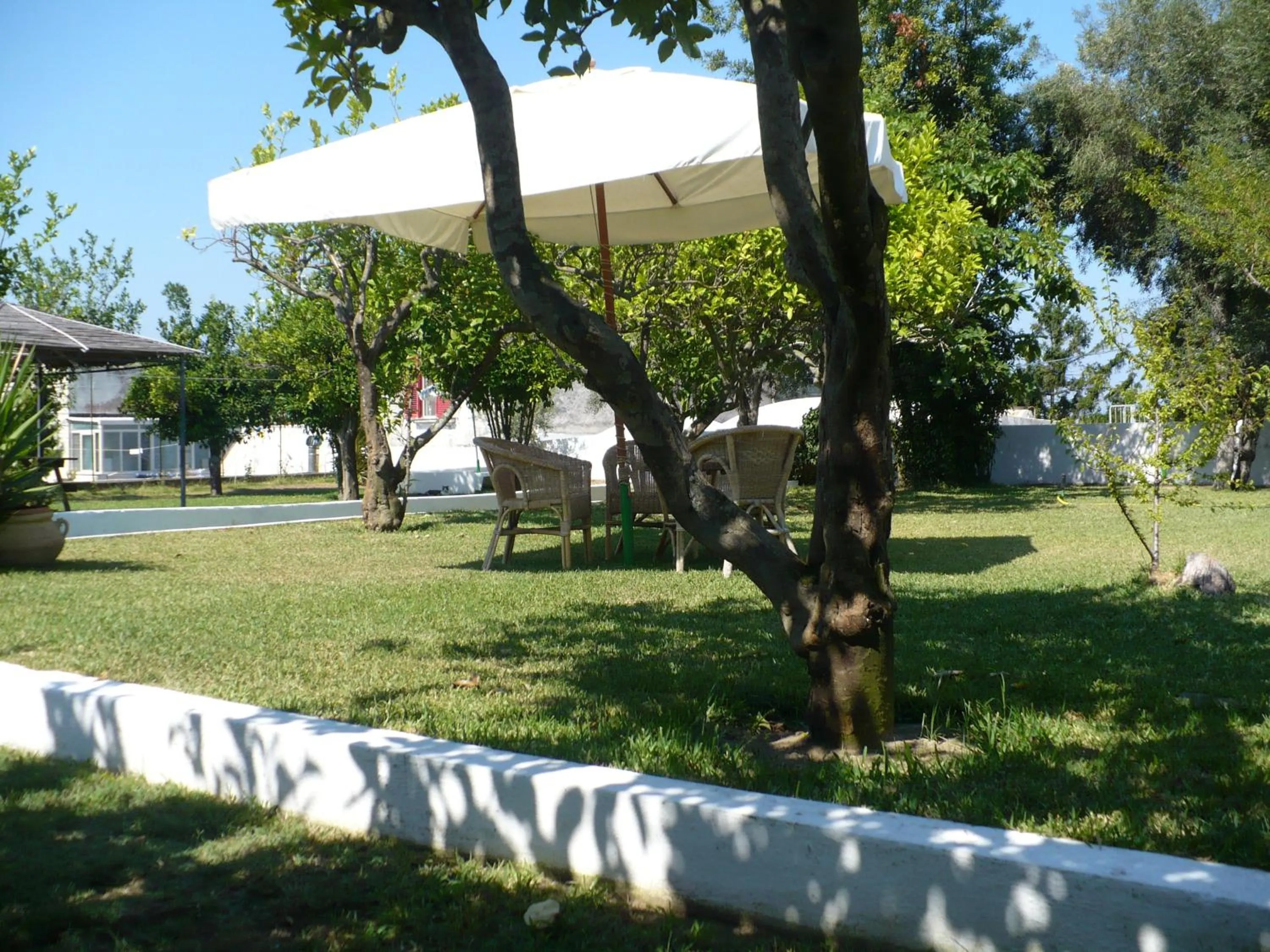 Garden in Hotel Savoia